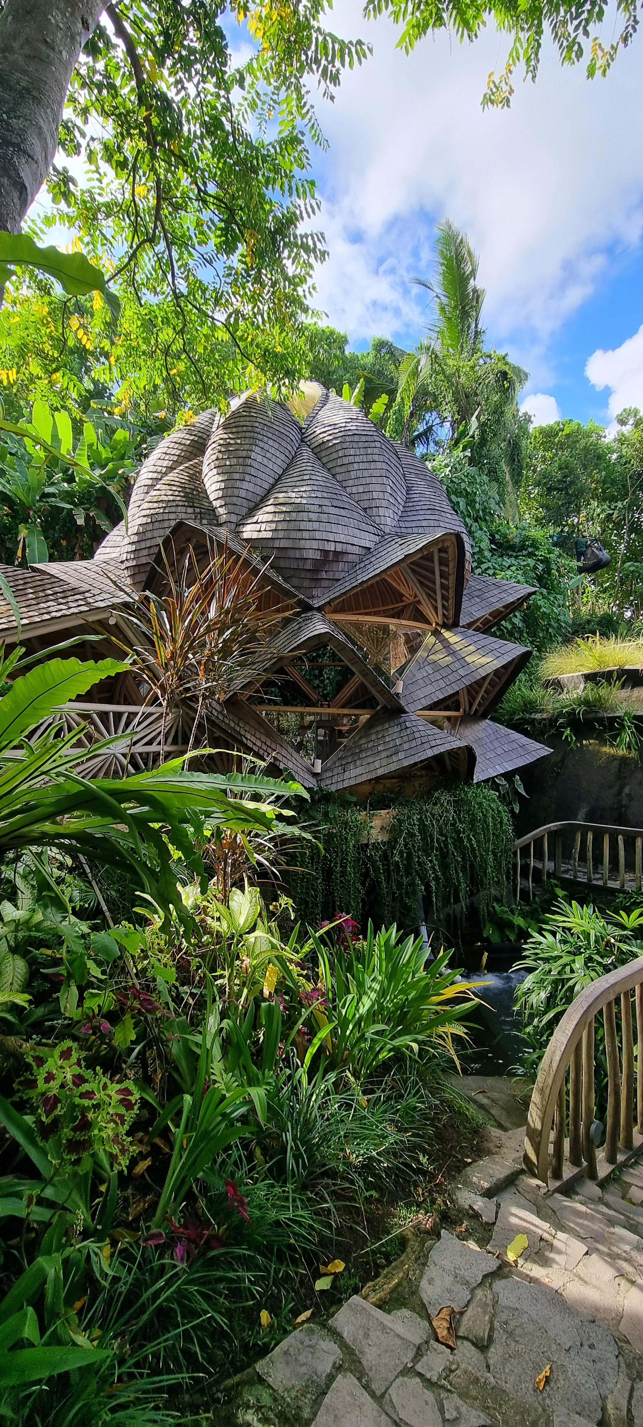 20240417_152347.jpg
