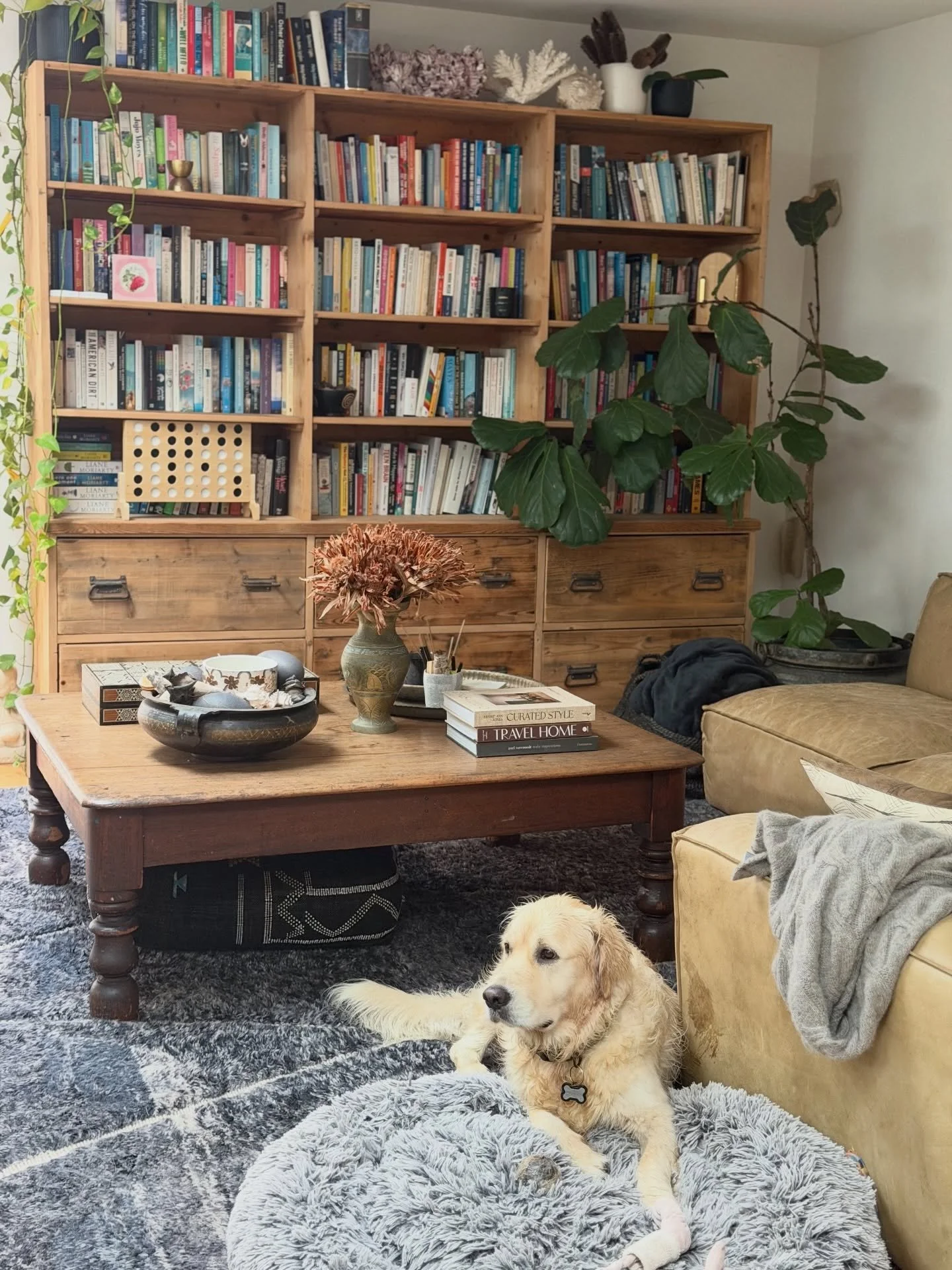 This is not an April Fools Post&hellip; 

Tomorrow, we&rsquo;re revealing the first episode of our in-real time renovations of 2026: Songbird House &mdash; the personal home of our founder &amp; creative director, Melissa Bonney. 

We didn&rsquo;t pl