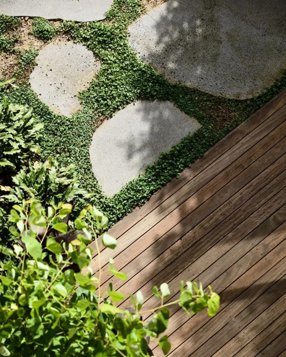 A heritage terrace, reimagined.
Albert Park Residence by @wellardarchitects is a masterclass in restraint &mdash; a home that feels calm, beautifully layered and deeply connected to light.

Working within the classic narrow bones of an Albert Park Vi