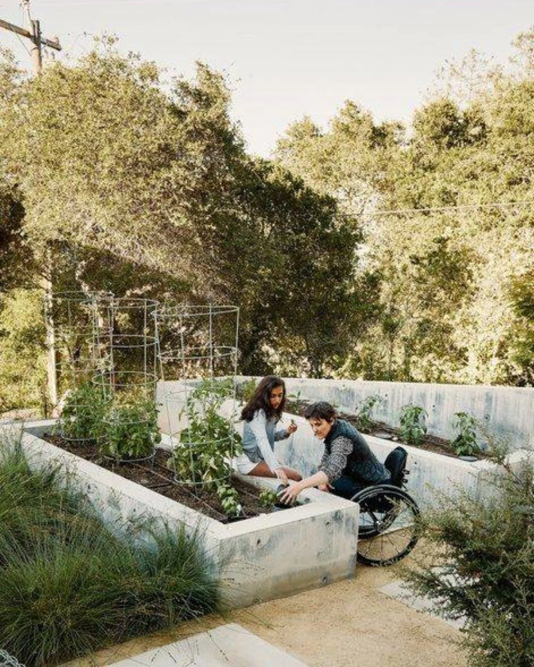 Straight from the moodboard&hellip; 🌿

The plan for the garden beds at Banksia House: formed concrete.

A little unexpected for a 100-year-old farmhouse&mdash;but that&rsquo;s exactly the point.
That contrast of old + industrial is what gives a spac
