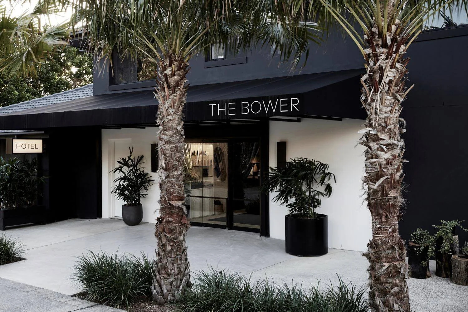 Hotel entrance with black awning labeled 'The Bower', two tall palm trees in large black pots flanking the entrance, and potted plants on either side of the glass door entrance.