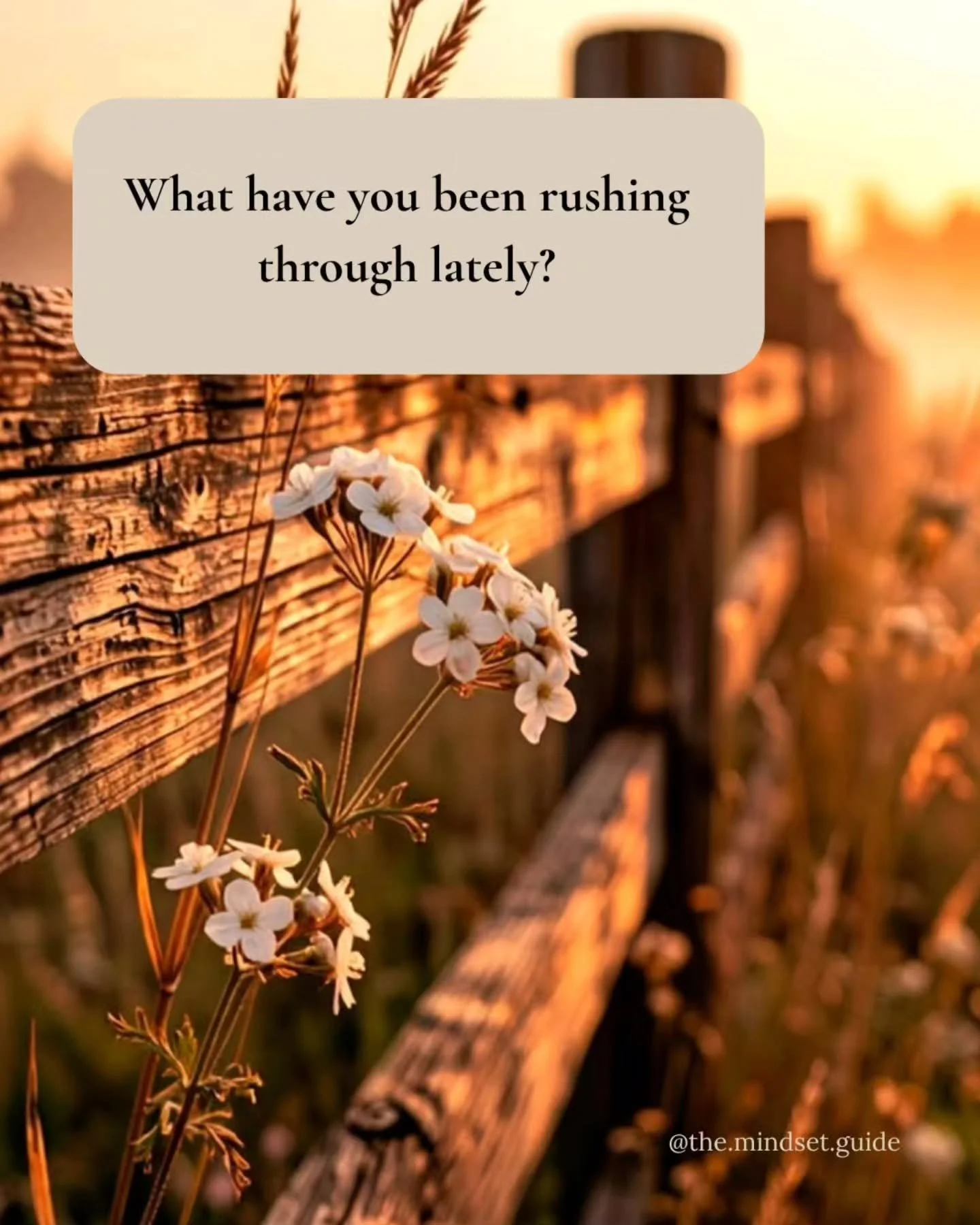 I'll go first.

I've caught myself rushing through a lot lately.

Not because I want to... but because life has been full.

And somewhere in the middle of checking things off my list, I realized I wasn't really experiencing any of it.

So today, I'm 