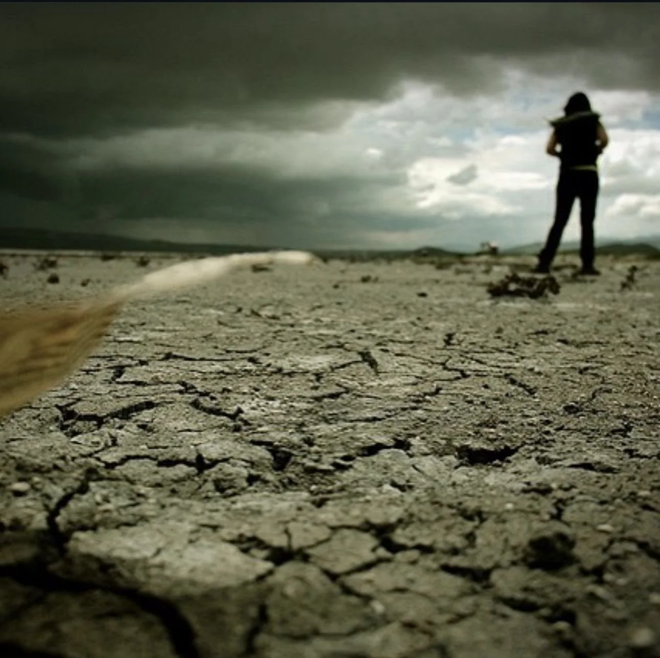 WhatsApp Image 2025-05-25 at 11.36.36 PM-4.jpeg