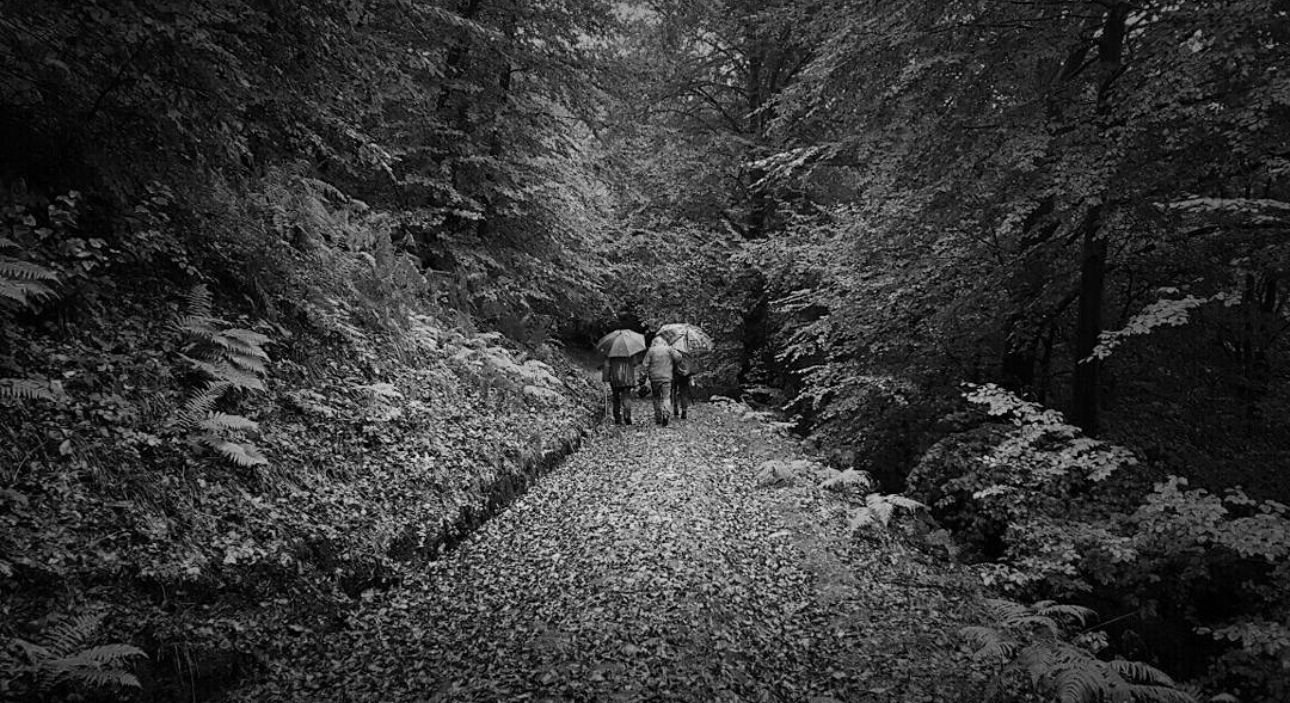 WhatsApp Image 2025-05-25 at 11.36.35 PM-3.jpeg