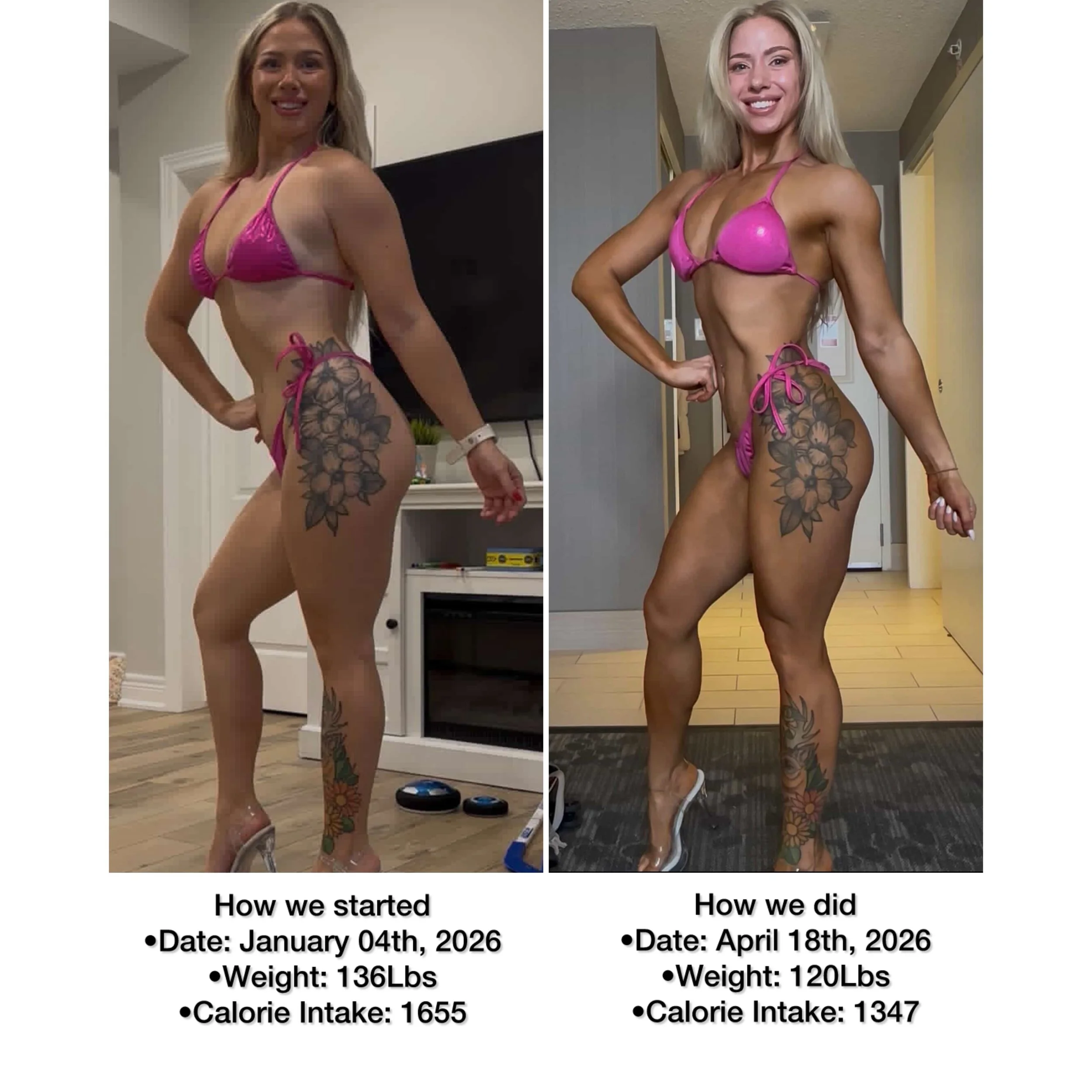 (16 Week) Bikini Division Competition Prep