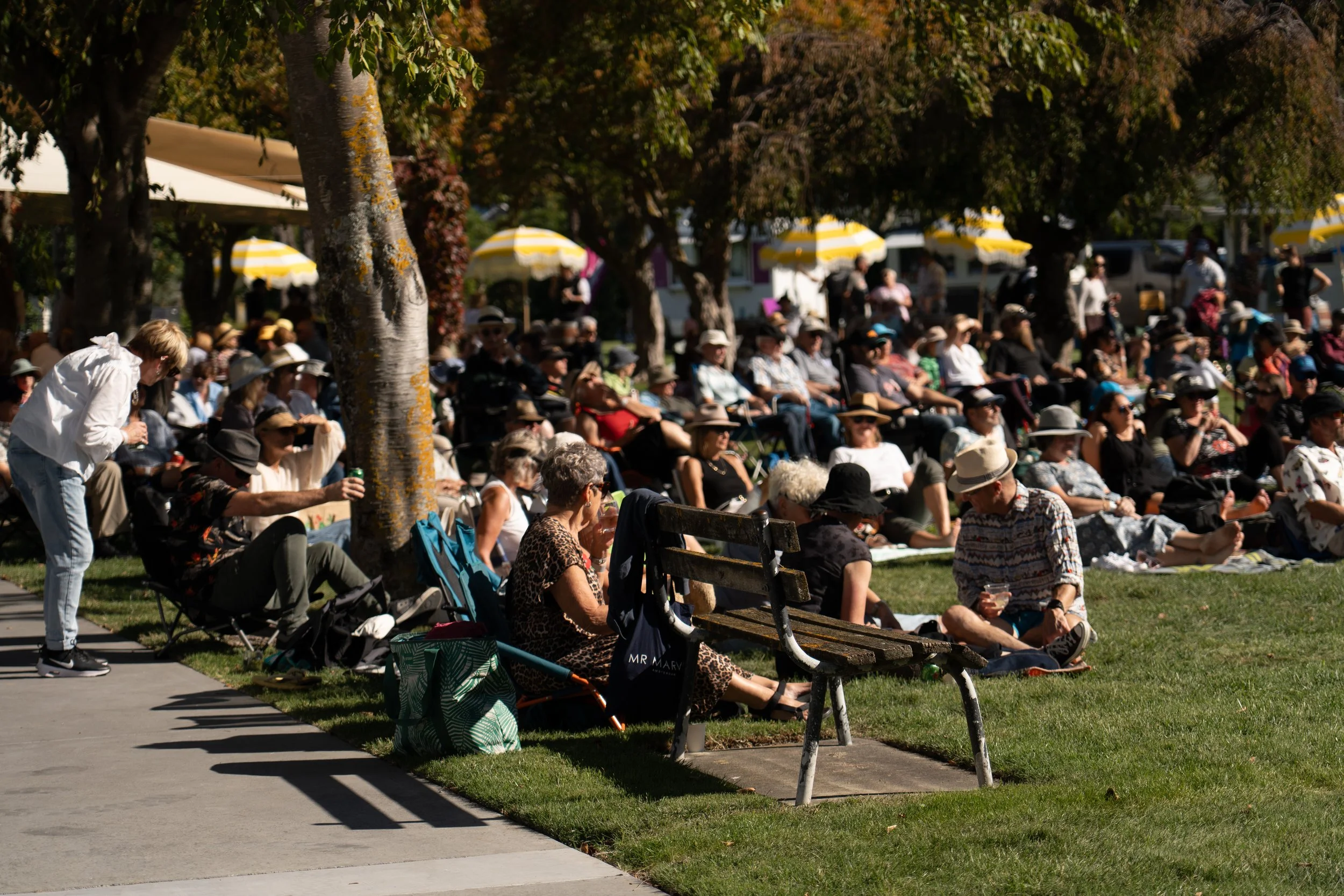 A large crowd of people sitting on the grass and in chairs under trees, many wearing hats, at an outdoor event on a sunny day. Jazz In the park church road winery.