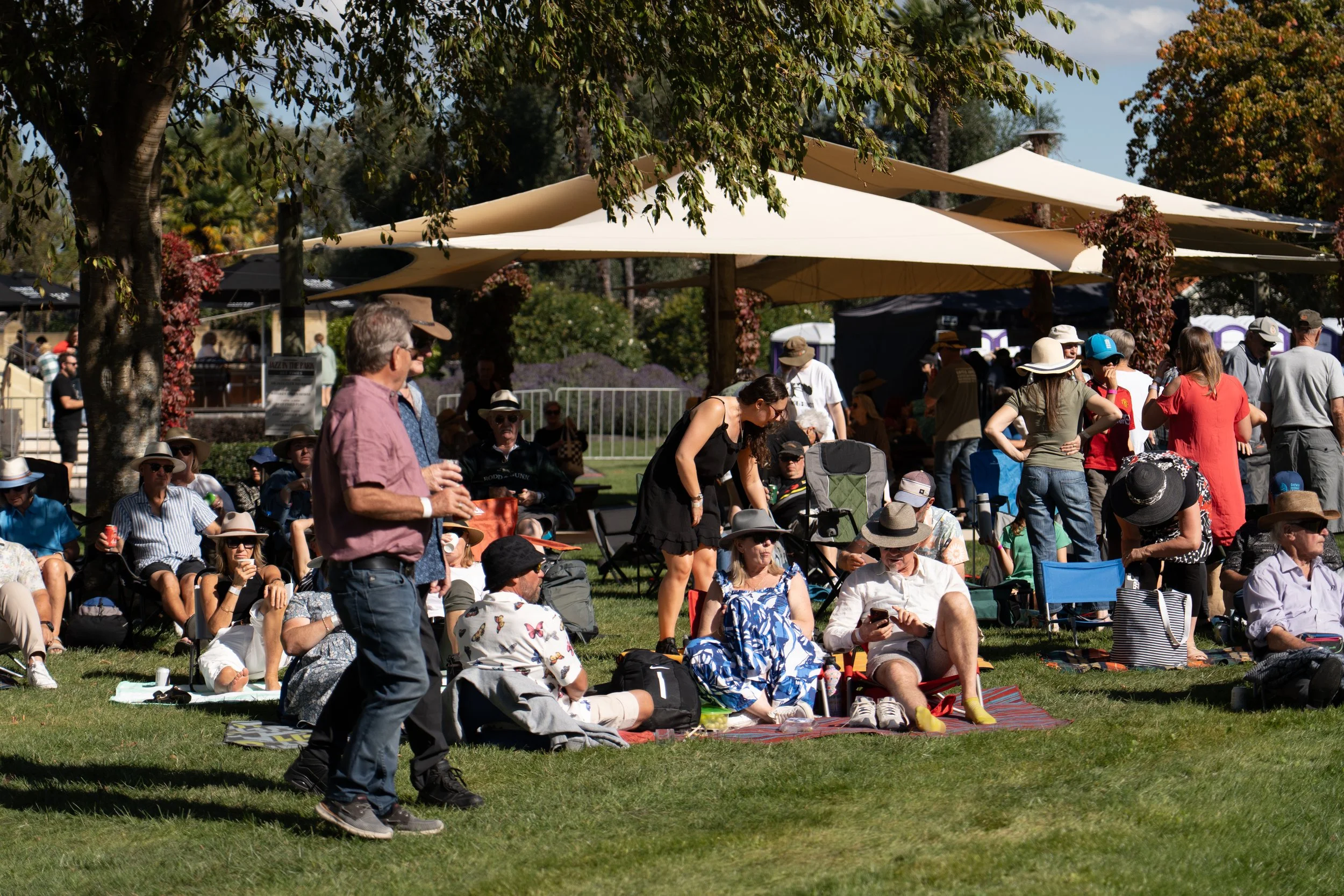 People gathered outdoors on a grassy area with trees and tents, some sitting, standing, and walking, enjoying a sunny day at a festival or gathering. Jazz in the park church road winery.