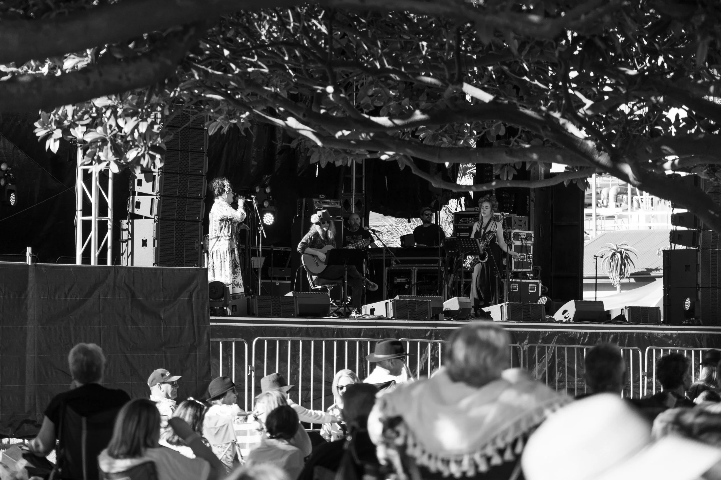 Black and white image of a live outdoor music performance on a stage, with a band of five members, including a singer and a guitarist, partially obscured by tree branches in the foreground. Whiskey Green Horse - Jazz in the park, church road winery.