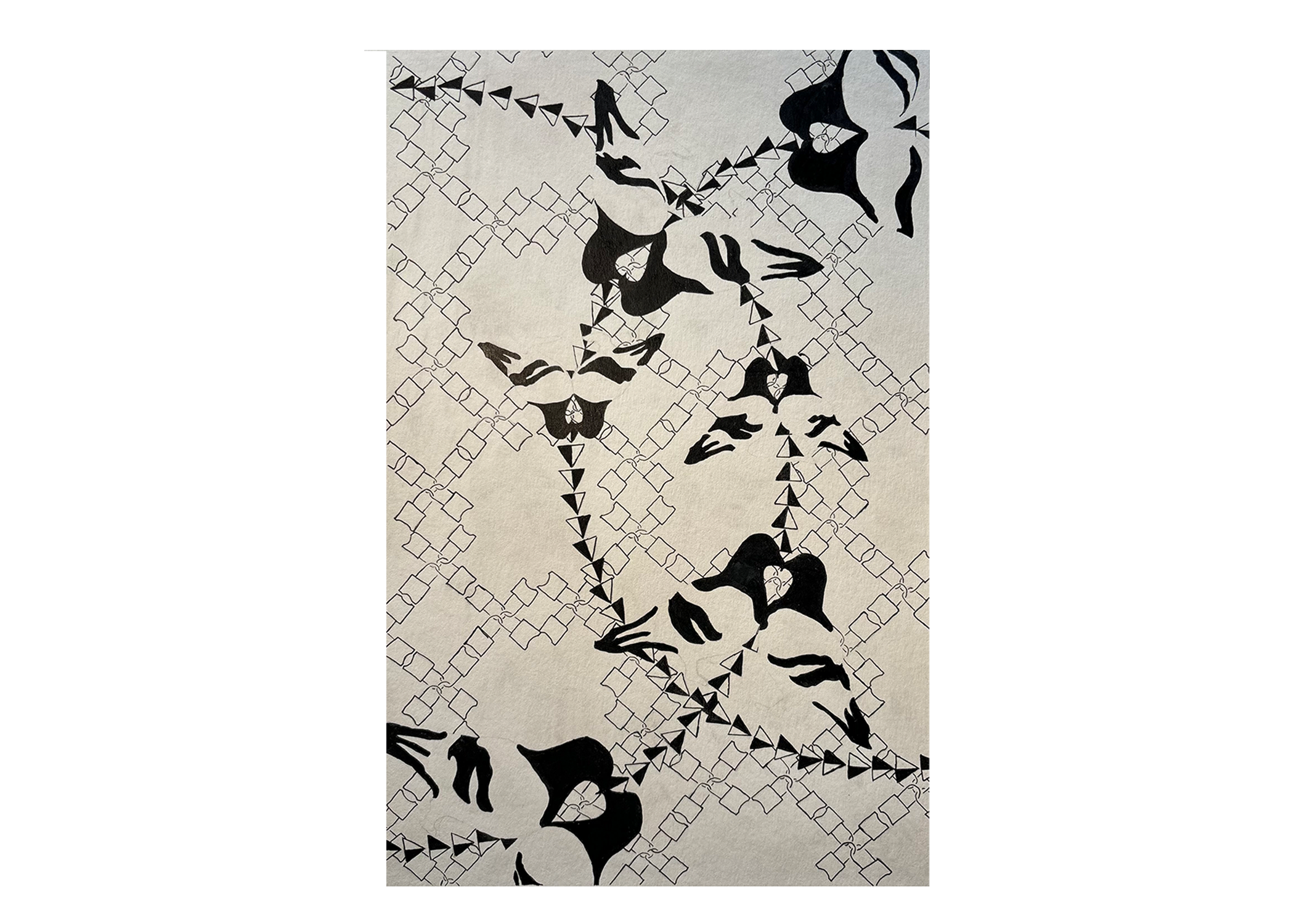 birds.png