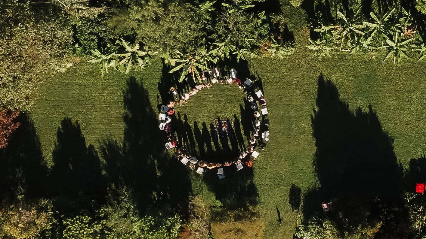 An aerial view of people gathered in a circle on a grassy field, with trees casting shadows around them.
