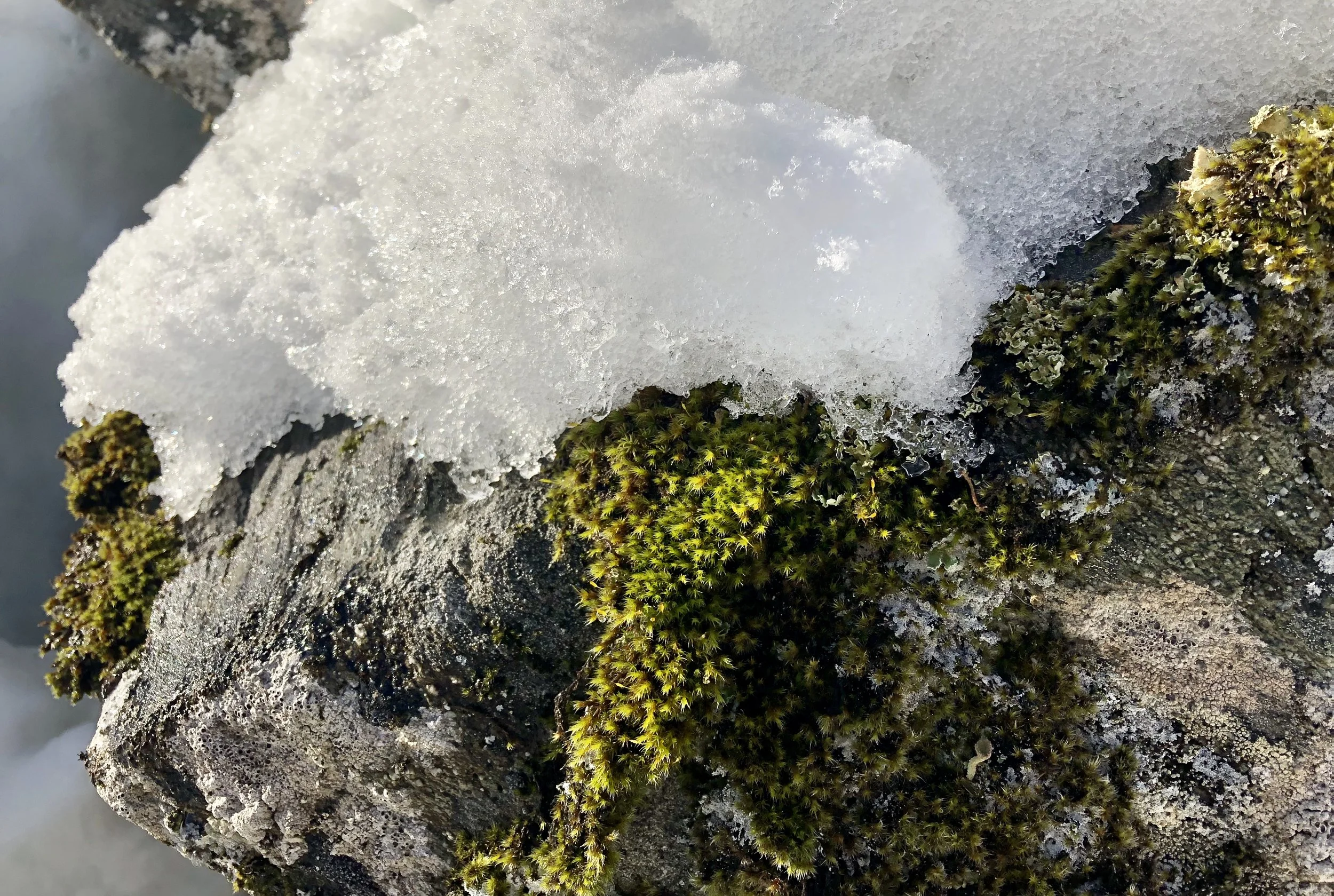 IMG_0700.jpeg
