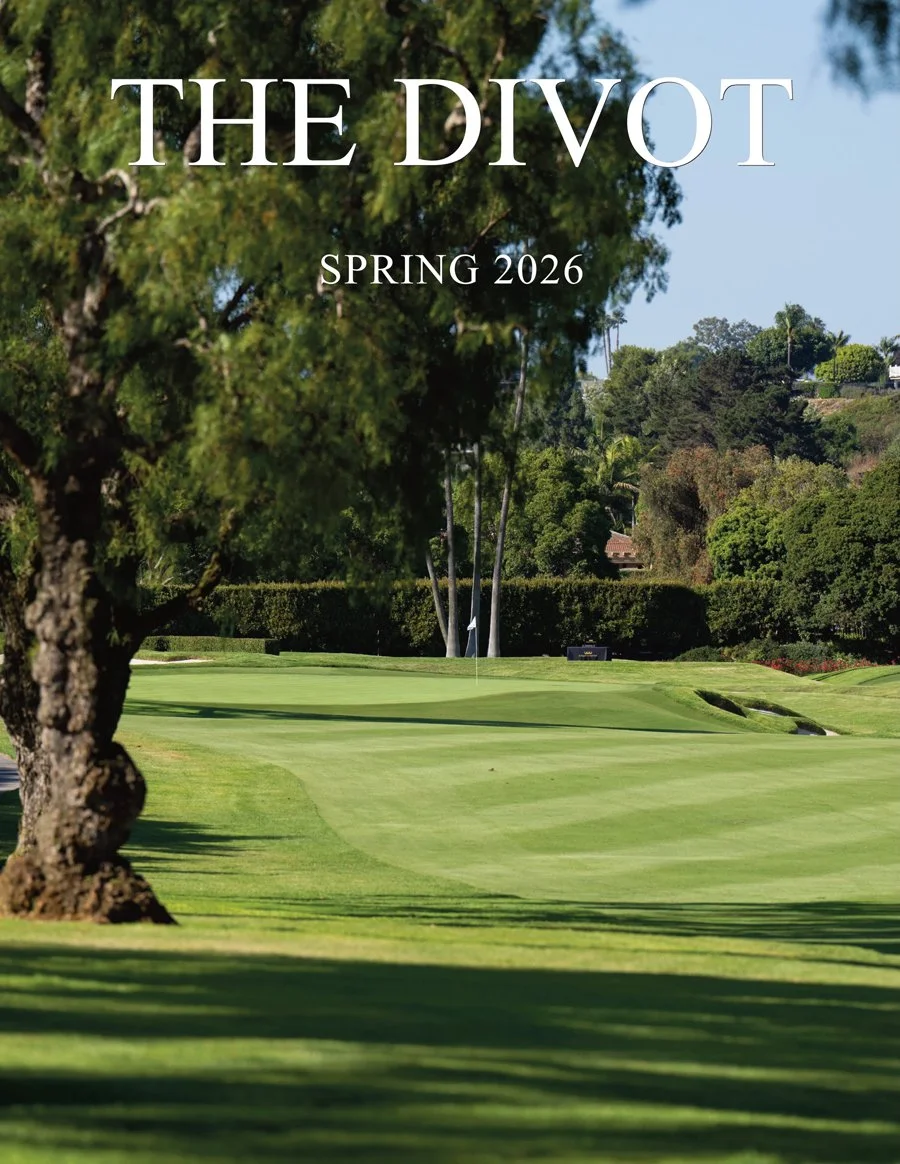 Divot Spring.jpg