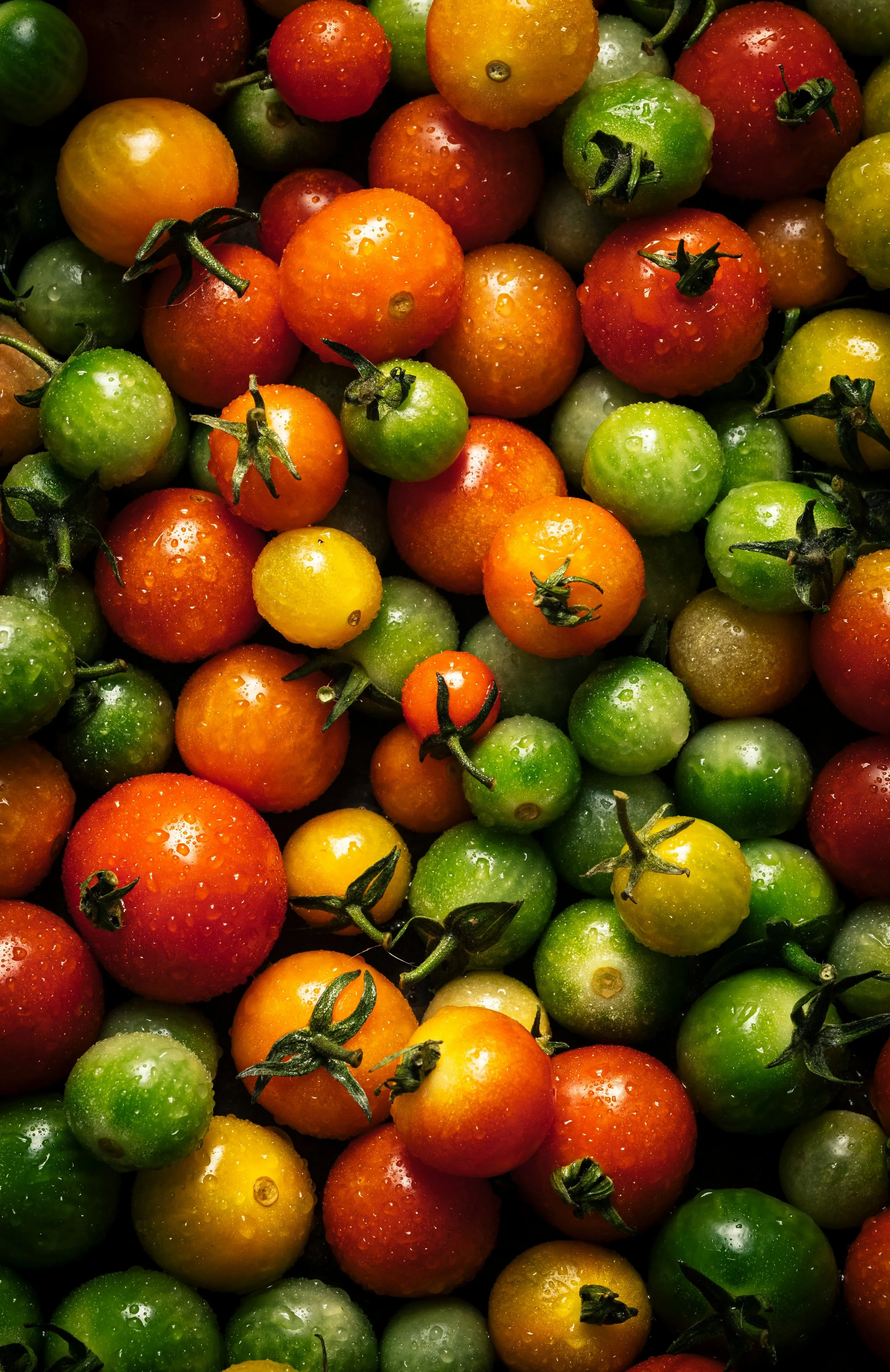 Seasonal Fruit & Vegetables Victoria | What’s In Season — Virgona ...