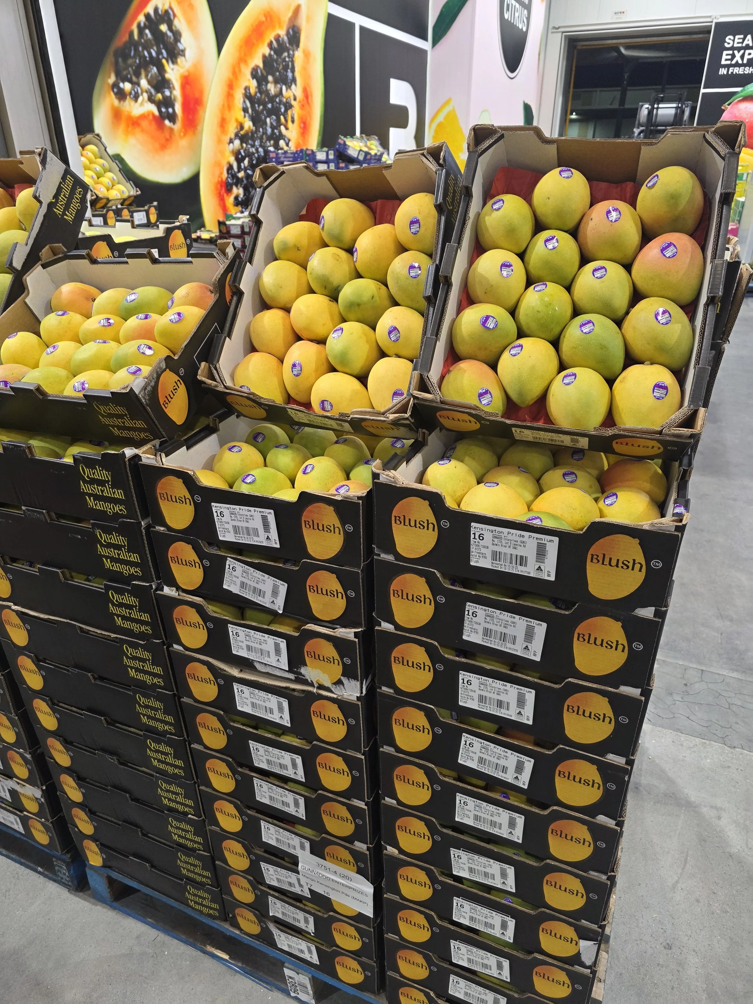 Melbourne Wholesale Fruit and Veg Market Report – October 28 — Virgona ...