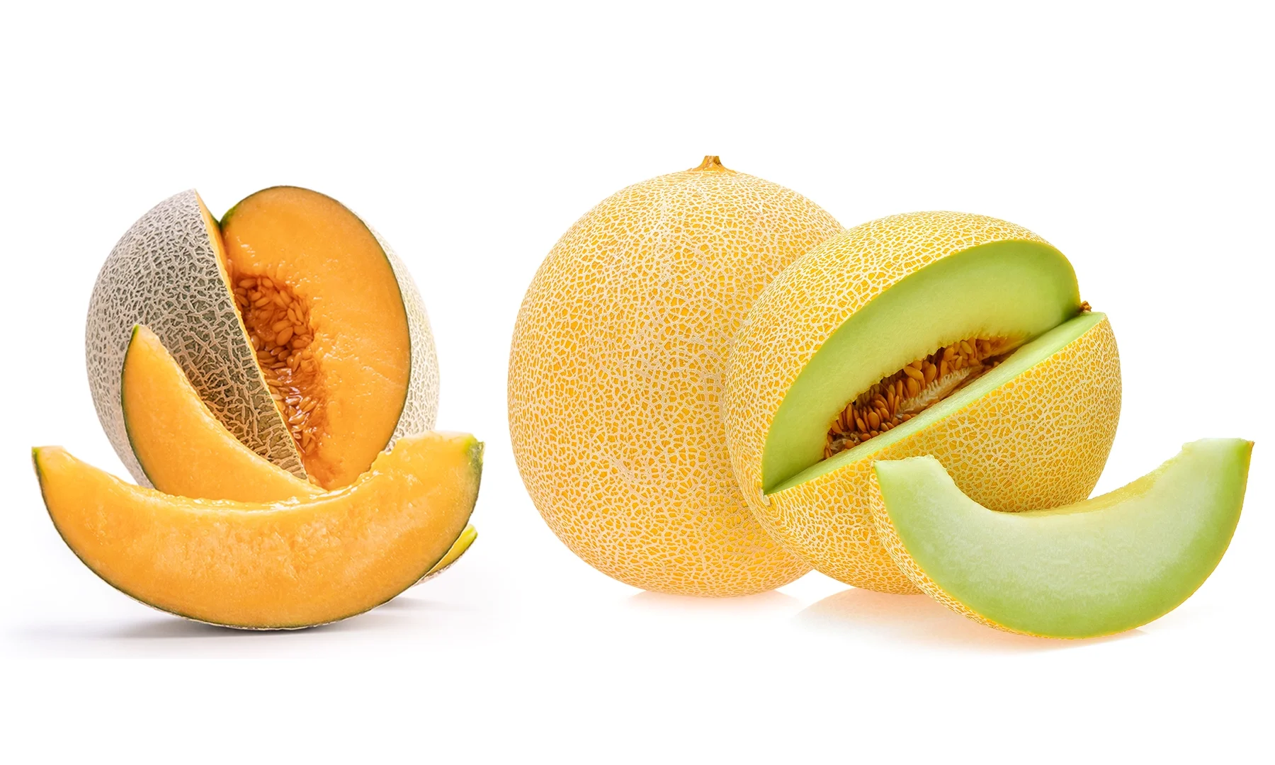 Melbourne - Wholesale Fruit and Veg Market Updates — Virgona Provedoring