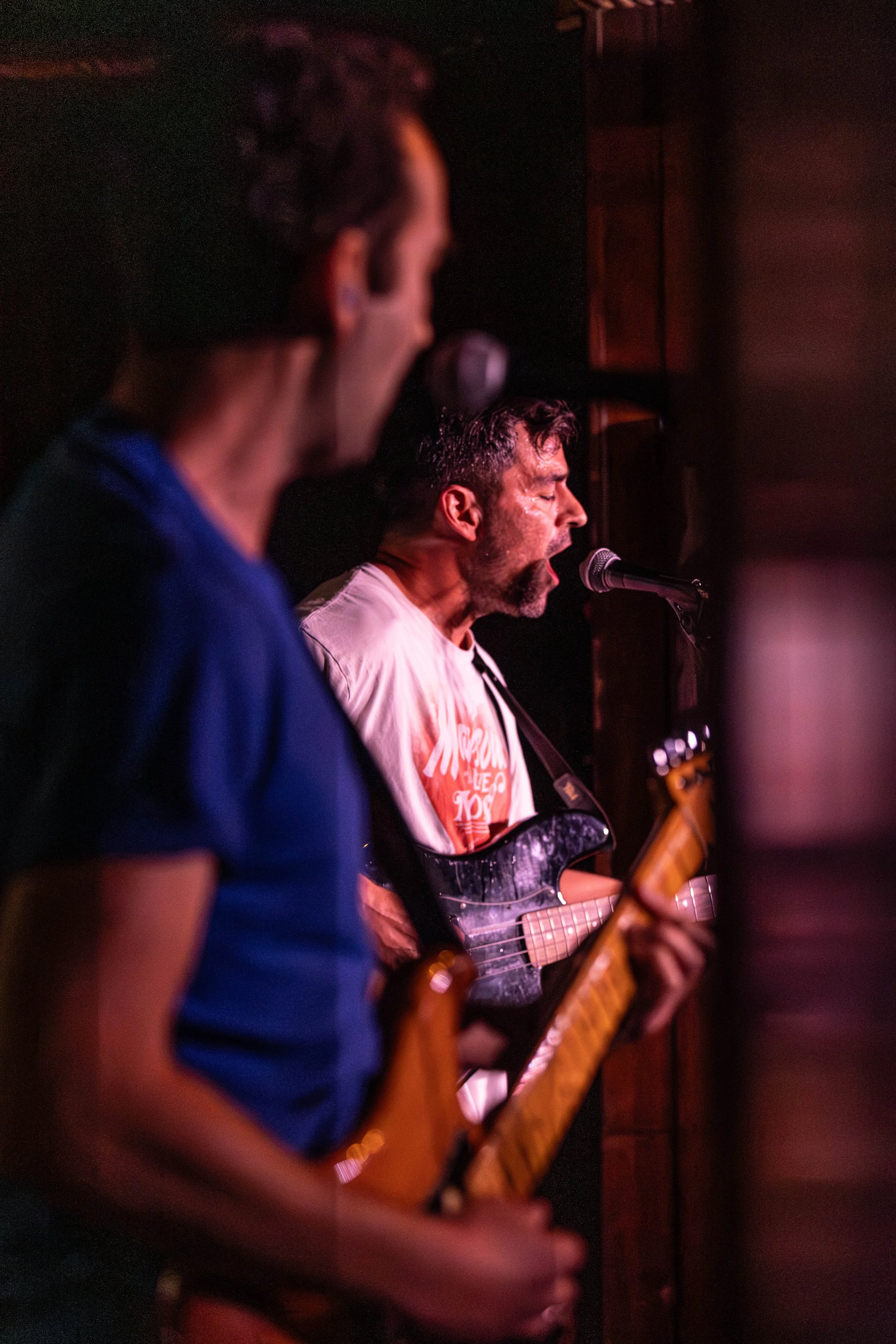 Redwood (212 of 249).jpg