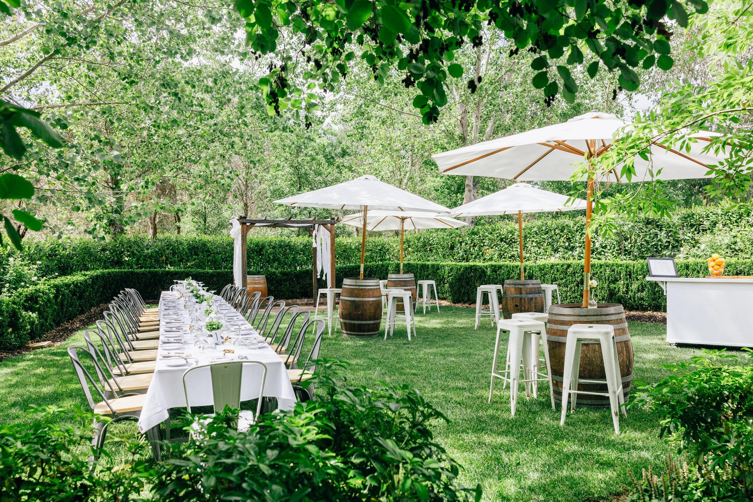 Long Lunch November 1st-35.jpg