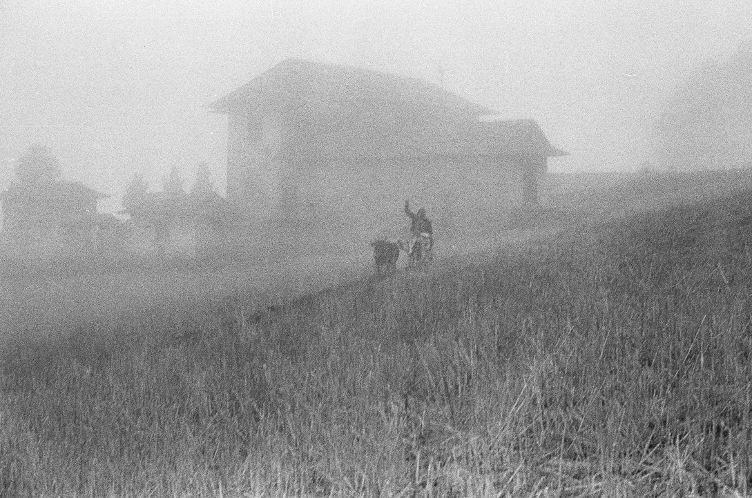 in his best clothes for portrait