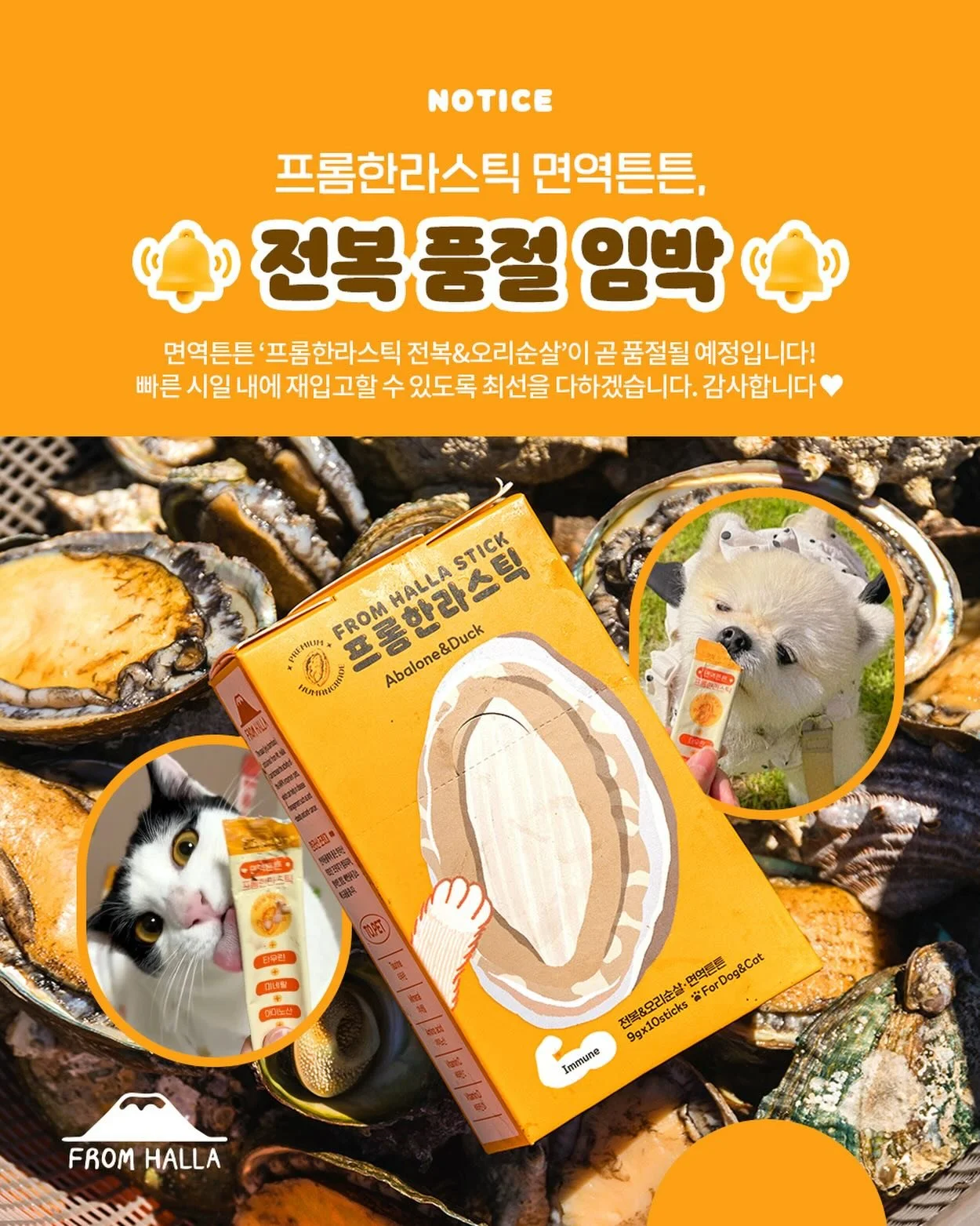 📣프롬한라스틱 전복&amp;오리순살 품절 임박 안내드립니다😭

1일 1포로 맛있게 챙기는 든든한 면역영양 간식🧡
많은 사랑을 받는 프롬한라의 베스트 제품 프롬한라스틱🐱🐶

고객님들의 뜨거운 관심과 사랑 덕분에 프롬한라스틱 전복&amp;오리순살 제품이 곧 일시 품절될 예정입니다!🥺

빠른 시일 내에 재입고 할 수 있도록 최선을 다하겠습니다.
감사합니다!

#프롬한라 #fromhalla #프롬한라스틱