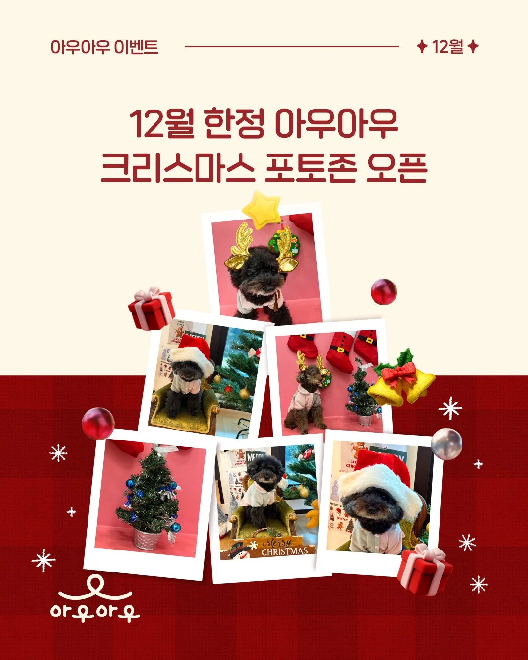 🎄✨ 12월 한정! 아우아우 크리스마스 포토존 오픈🎅📸 ✨🎄

크리스마스 분위기 잔뜩 나는 포토존 찾고 계셨나요?
그렇다면 지금 바로 아우아우로 달려오세요! 🚗💨💕

아우아우가 우리 소중한 아우들을 위해
초특급 크리스마스 포토존을 준비했답니다! 🎁🐶💖
12월 한 달 동안 방문해주시는 분들은 누구나 자유롭게 촬영 가능해요!

넓~은 운동장에서 신나게 뛰놀고🐕&zwj;🦺💨
따뜻한 음료랑 맛있는 간식도 즐기고☕🍪
사랑하는 댕