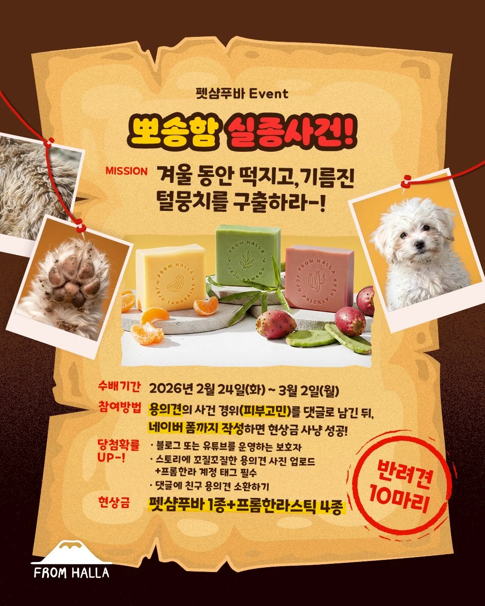 #이벤트 2026년 펫샴푸바 리뉴얼 기념 이벤트

🚨[긴급출동] 뽀송함 실종사건 발생🚨
"겨울에 잘먹고 잘놀아서 기름진 털뭉치를 구출하라!"

겨울의 고구마와 안방 보일러 온기속에서 우리 아이들의 뽀송함이 흔적도 없이 사라졌다는 제보가 잇따르고 있습니다.
꼬순내 폭발, 갈라진 등털 등으로 무장한 기름진 털뭉치' 들을 찾습니다!

🔍 [사건 개요]
📂미션명: 기름진 털뭉치 구출 작전
🐾수배 대상: 쿰쿰한 꼬순내가 농익은