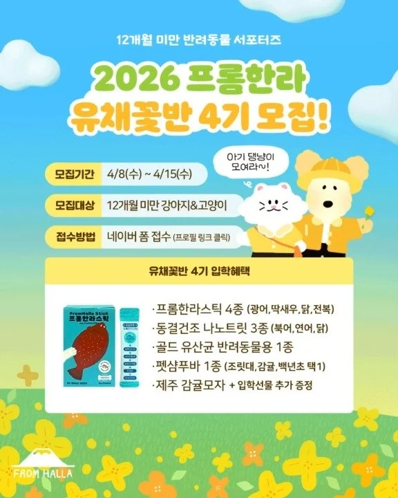 딩동댕동🏫

2026년 프롬한라 유치원
🌼유채꽃반 4기🌼
입학할 아기 친구들 모집 중💛
12개월 미만 강아지&middot;고양이를 위한
✨아기 서포터즈✨
프롬한라 제품을 체험하며
건강한 먹거리와 친환경 가치를 함께 전해요🌿
━━━━━━━━━━━━━━━
✅ 참여 조건
1살 미만 아기 댕냥이 친구들
✅ 모집 기간
4/8 (수) ~ 4/15 (수)
✅ 모집 인원
nn명
✅ 발표
4/17 (금) 개별 연락안내
✅ 입학 혜택
🎁 15만원 상당