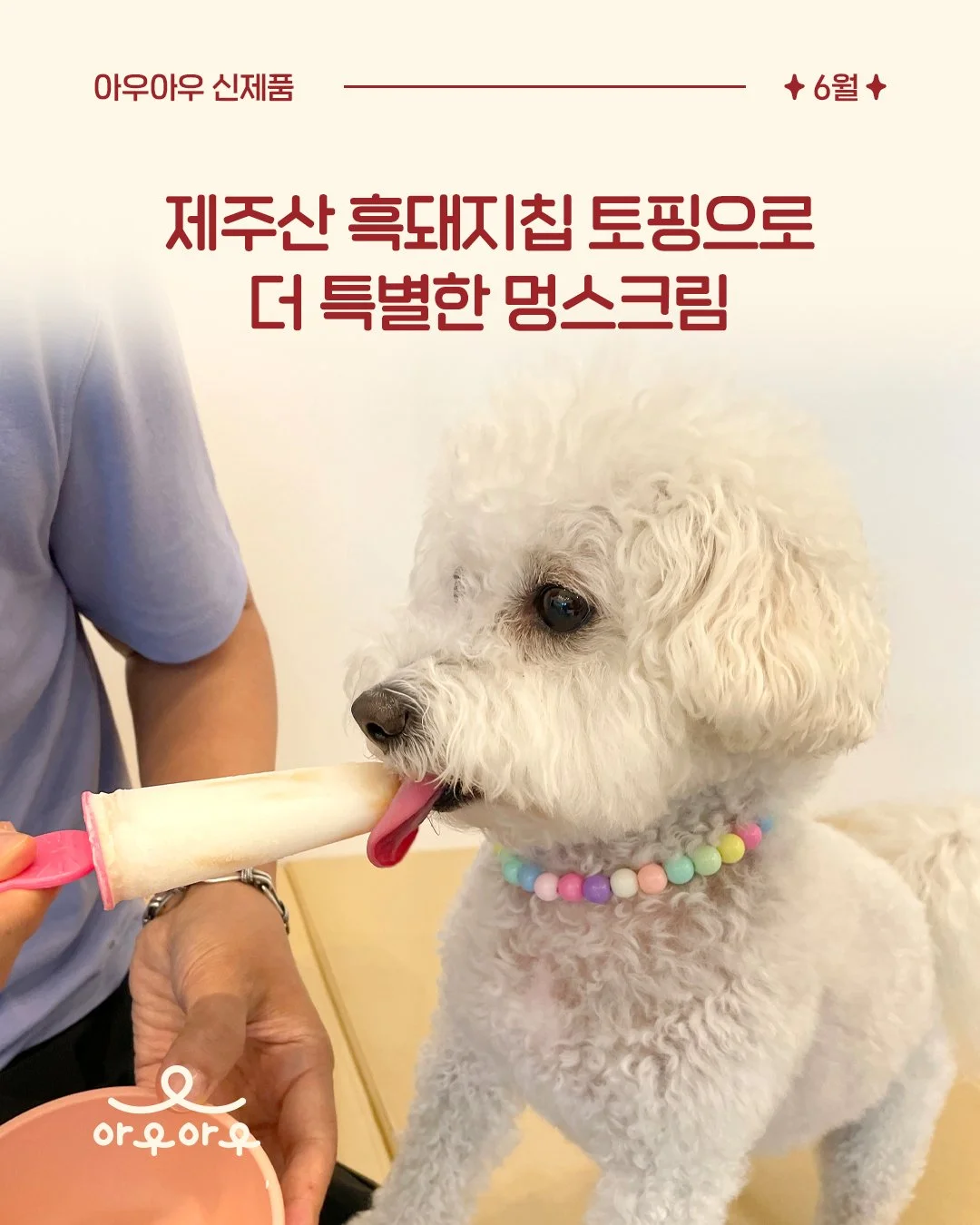 🍦 아우 전용 아이스크림 등장! 🐾

더운 날씨, 아이스크림 먹는 보호자를 빤히 바라보는 우리 아우들 😆

이제는 아우도 함께 시원하게 즐겨보세요💛

아우아우 아이스크림은

🥛 국내산 락토프리 우유 사용
🐷 제주산 흑돼지칩 콕콕!
🌿 부담 없이 즐길 수 있는 간식

고소한 우유의 풍미에 제주산 흑돼지칩까지 더해
우리 아우들이 더욱 맛있게 즐길 수 있도록 만들었어요✨

신나게 뛰어놀고 난 뒤,
더위에 지친 오후,
특별한 간식이 필요한