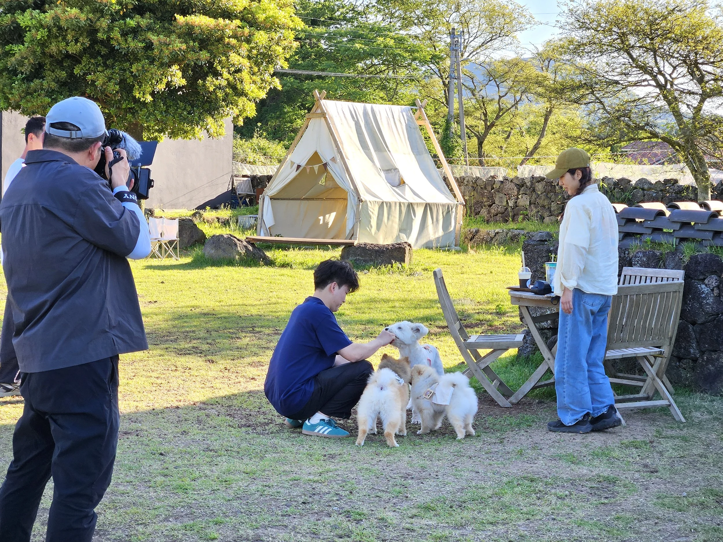 A person is sitting on the grass petting a group of adorable tiny puppies while a woman nearby watches. A photographer takes pictures, and in the background, there's a canvas tent, trees, and outdoor furniture.