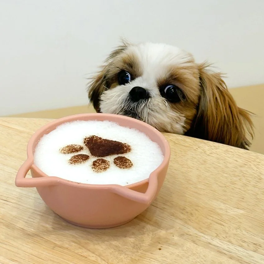 음식 후기 사진 (64).jpg