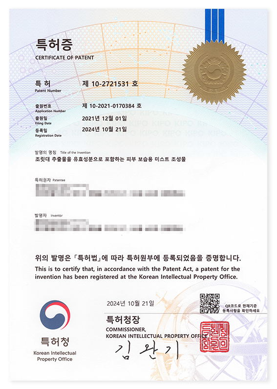 Patent for Sasa-Based Mist Patent