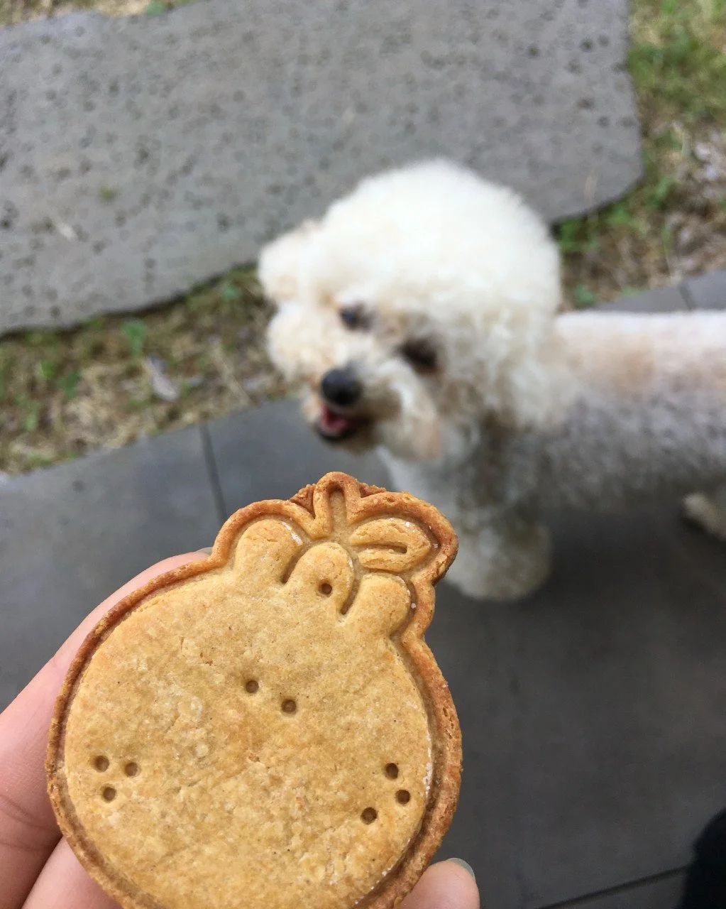 음식 후기 사진 (63).jpg