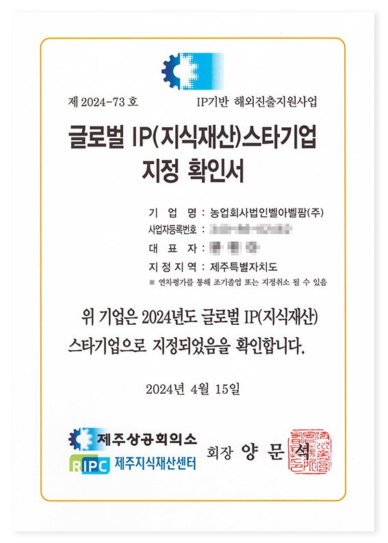 Global IP Star Company Designation Certificate