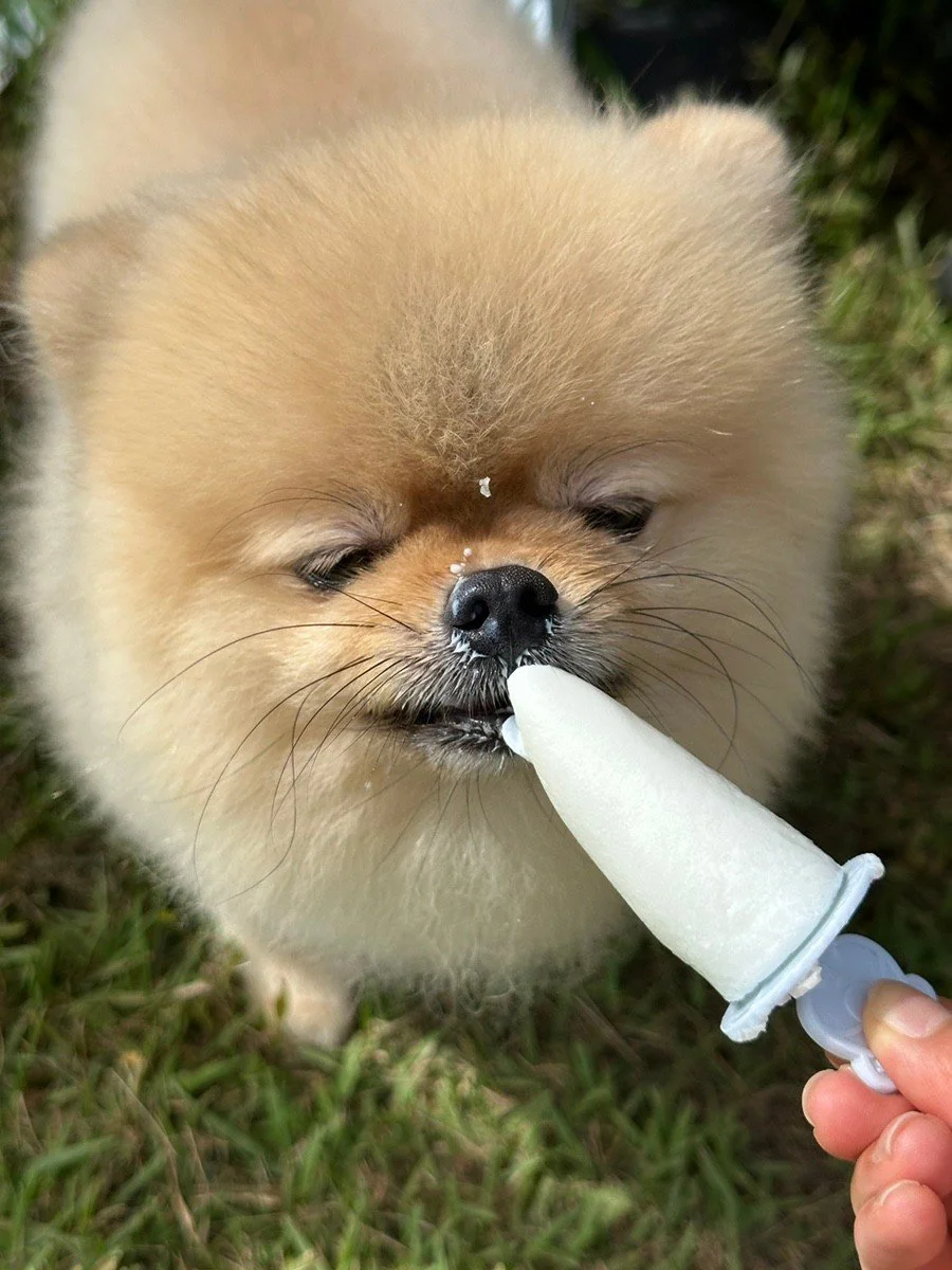 음식 후기 사진 (46).jpg