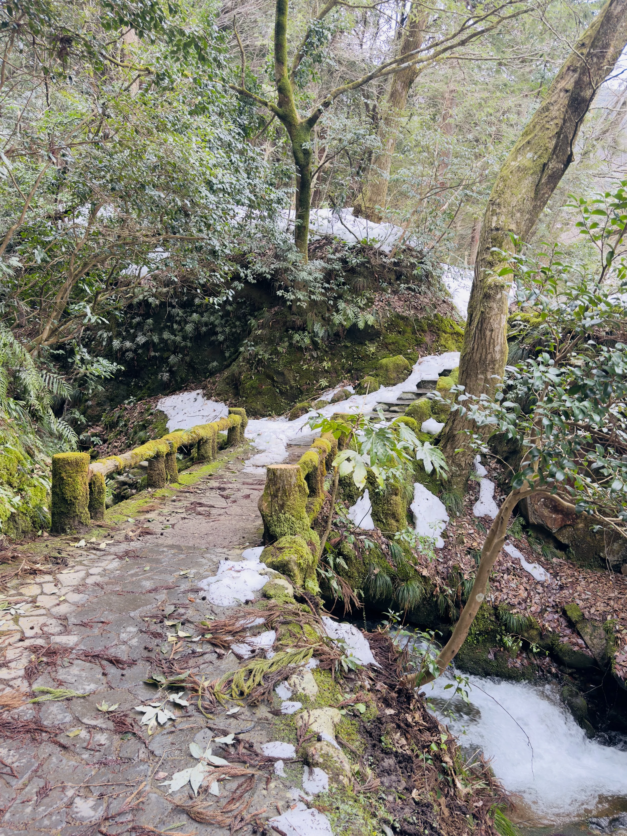 The Guilt of Arrival