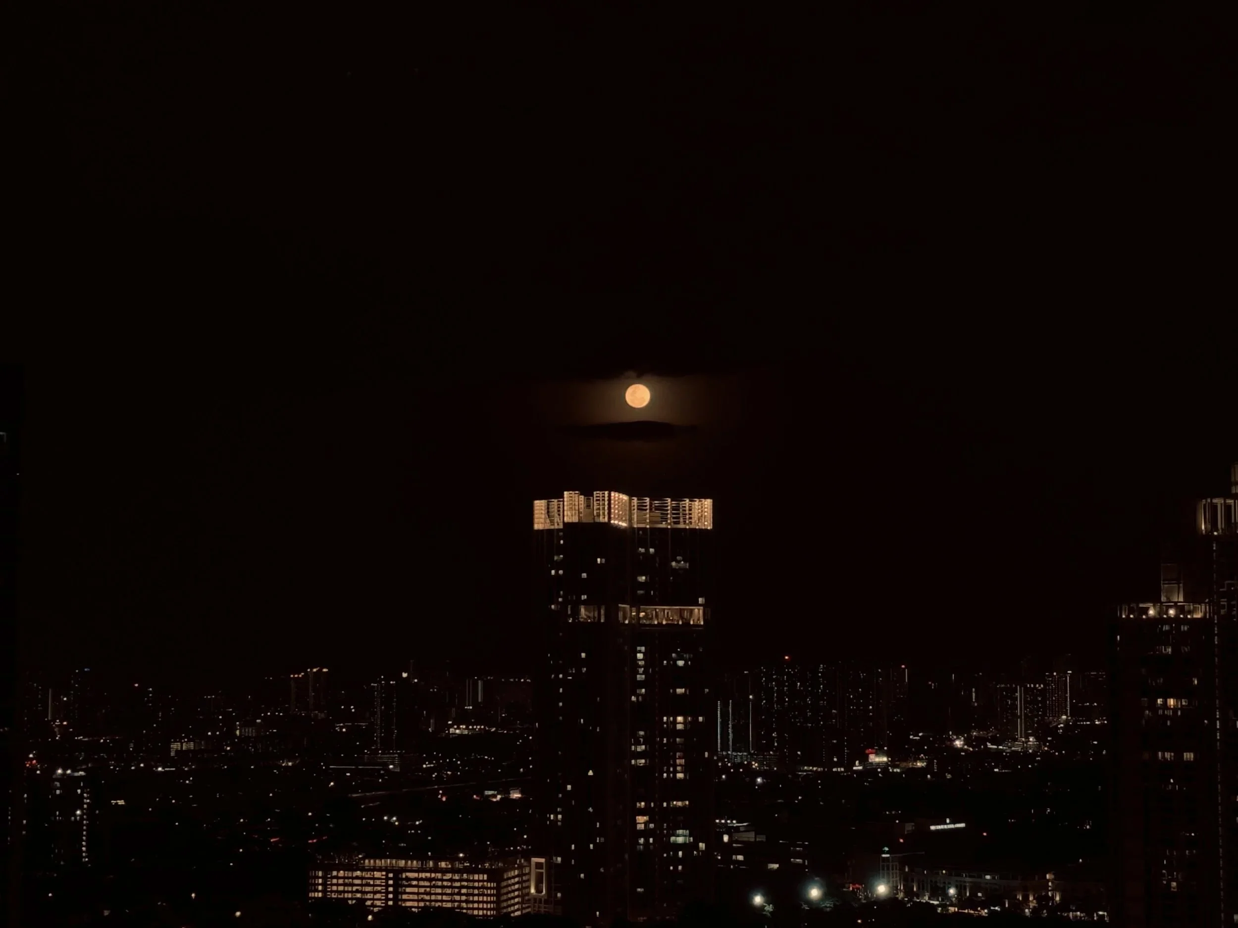 Dissecting the Day: What I Almost Carried That Was Never Mine