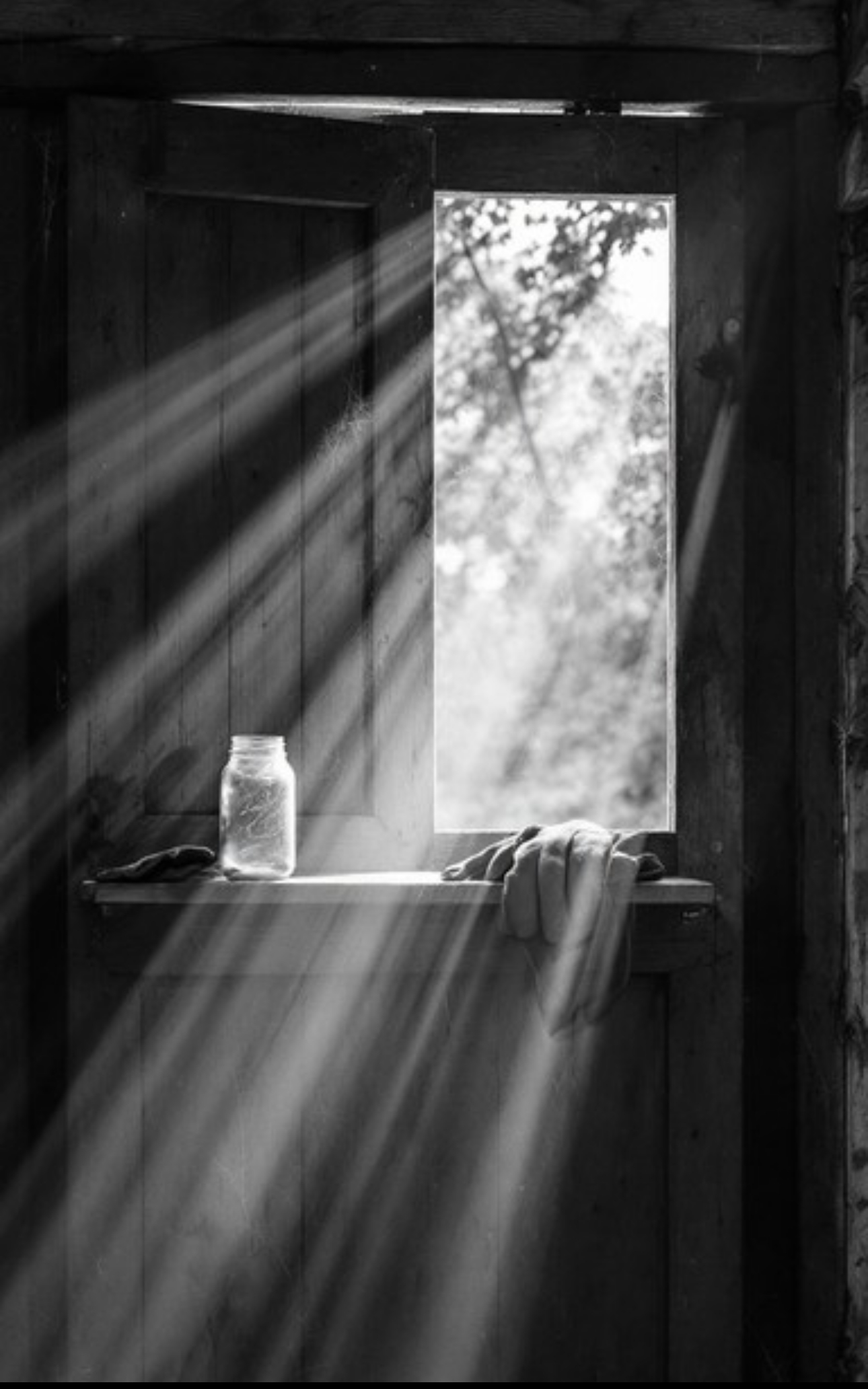 Inner Sight