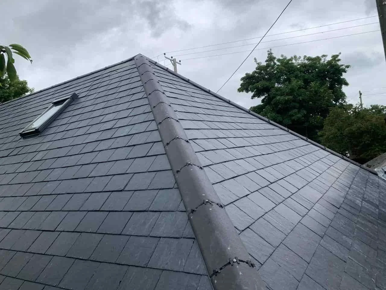 Close-up of a dark gray tiled roof with a skylight window, tree, power lines, and cloudy sky in the background.