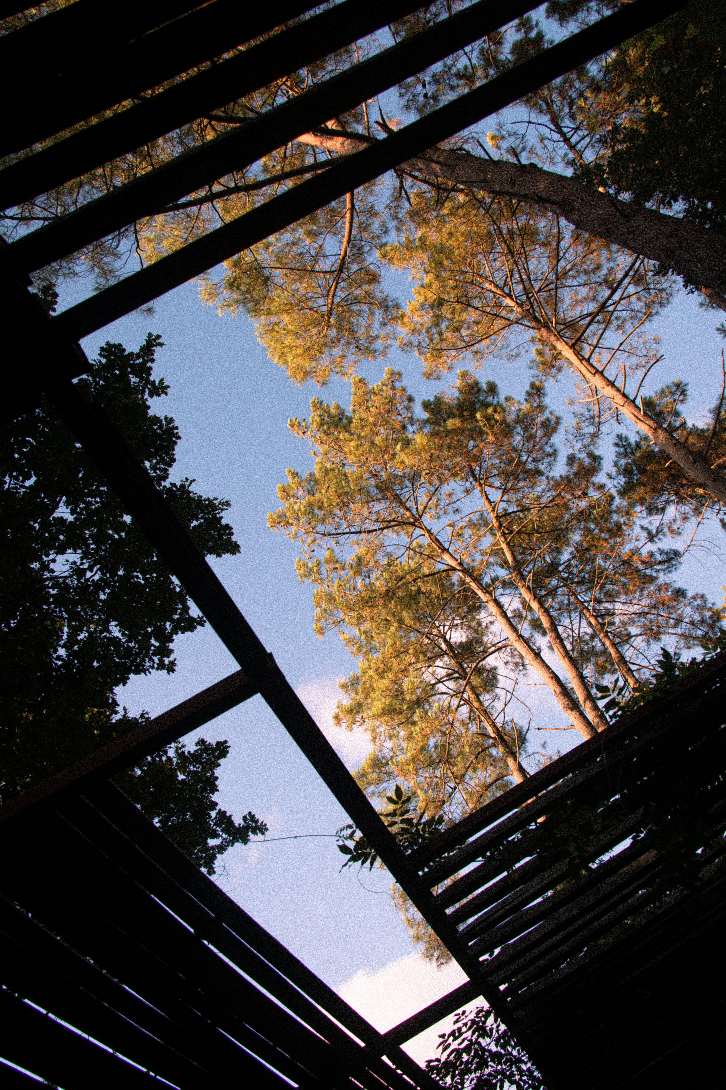 Les Landes, 2009-ongoing