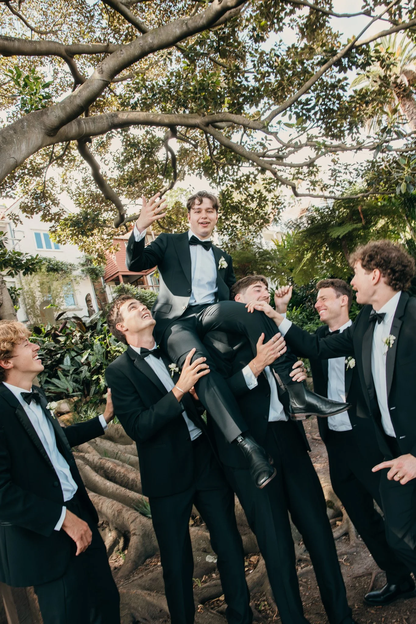 Group of men in tuxedos, one being lifted in a celebration outdoors under a tree.