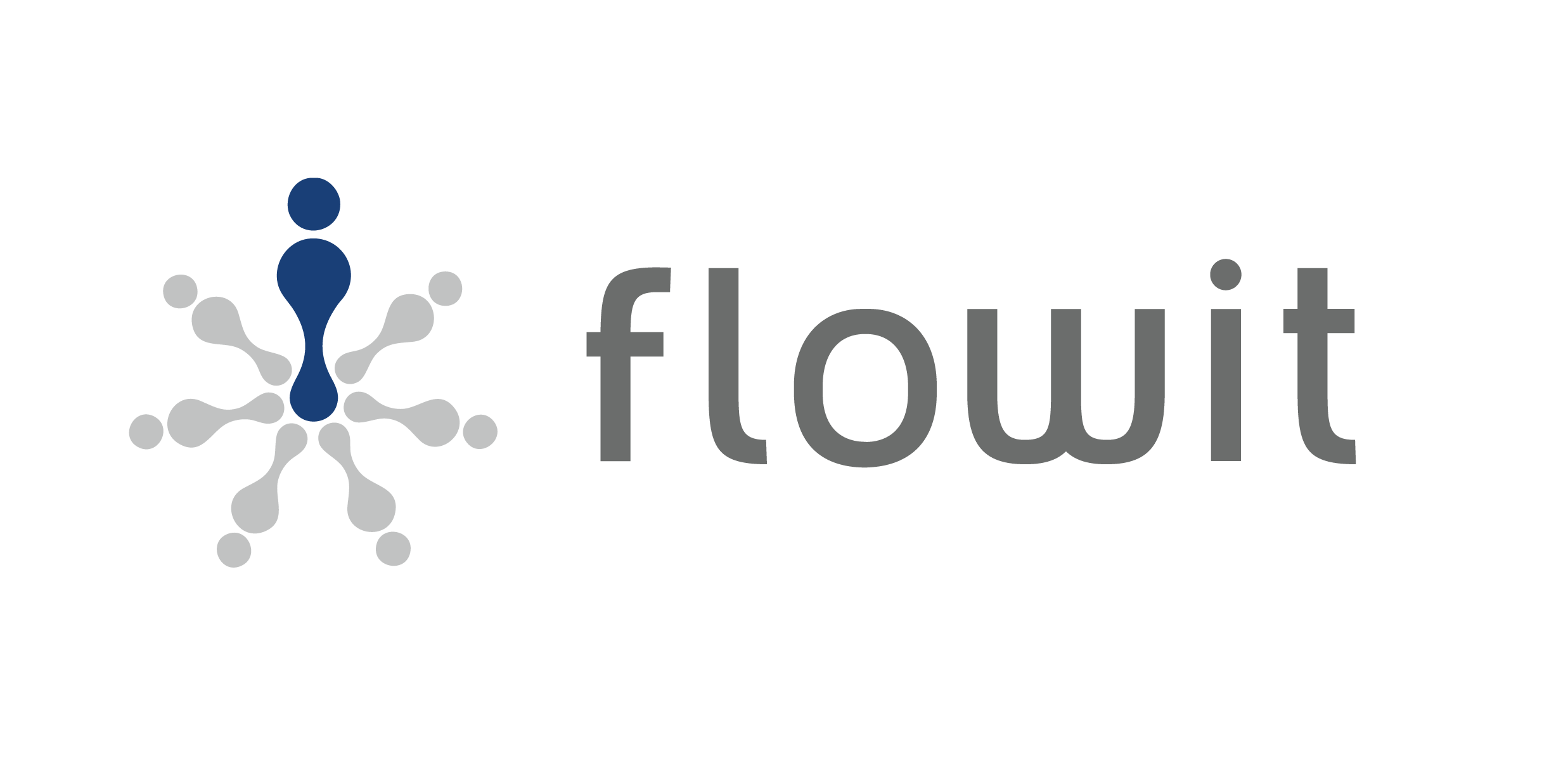 Logo von Flout mit stilisiertem Netzwerk-Design in Blau und Grau
