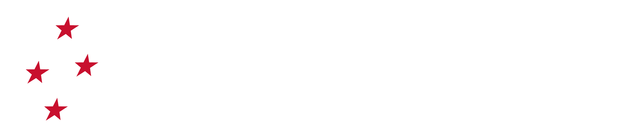 Build the Nation White Logo