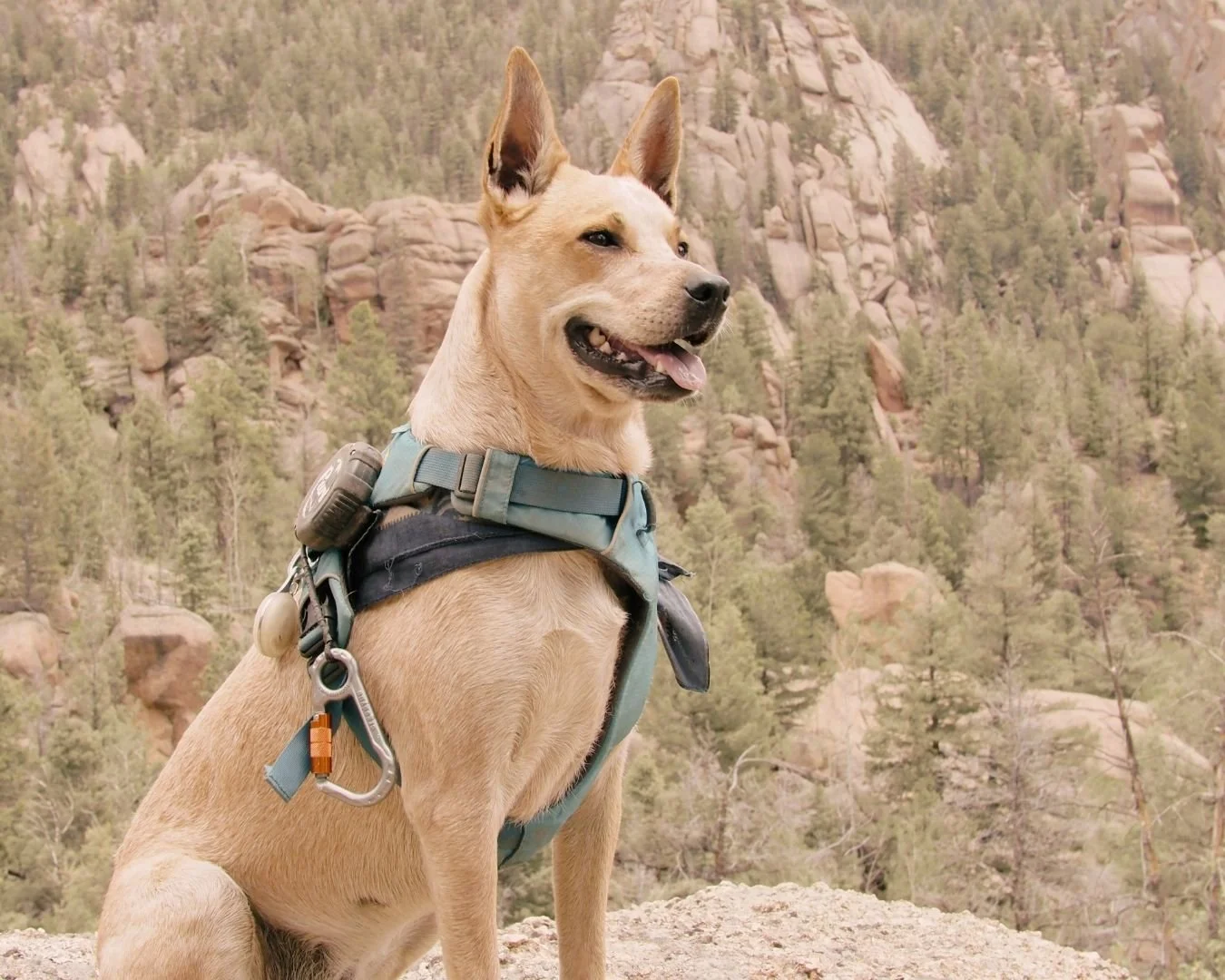 Untitled design (78).jpg