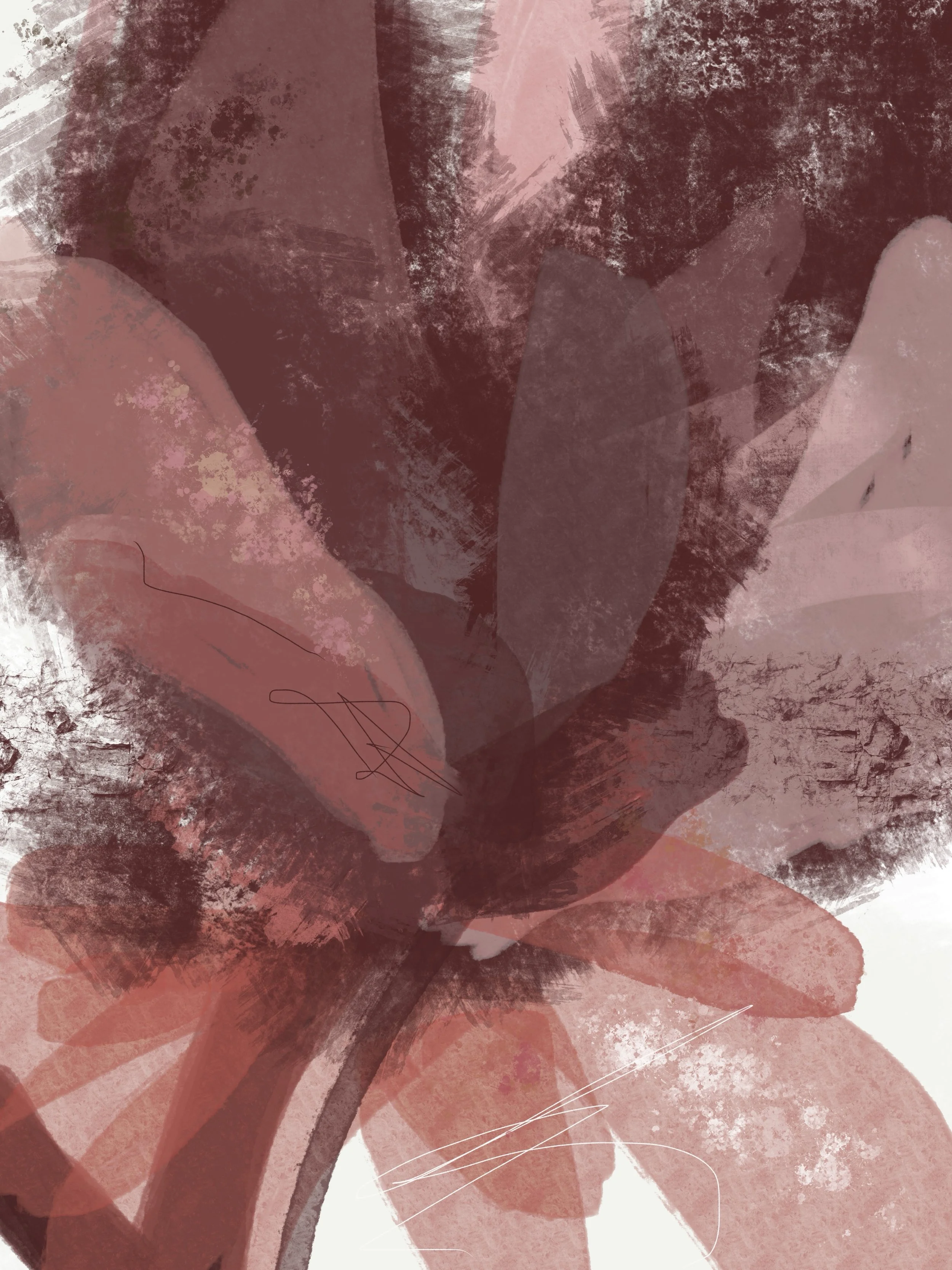 An abstract digital artwork featuring layered, semi-transparent shapes in shades of pink, red, and brown, resembling flower petals.