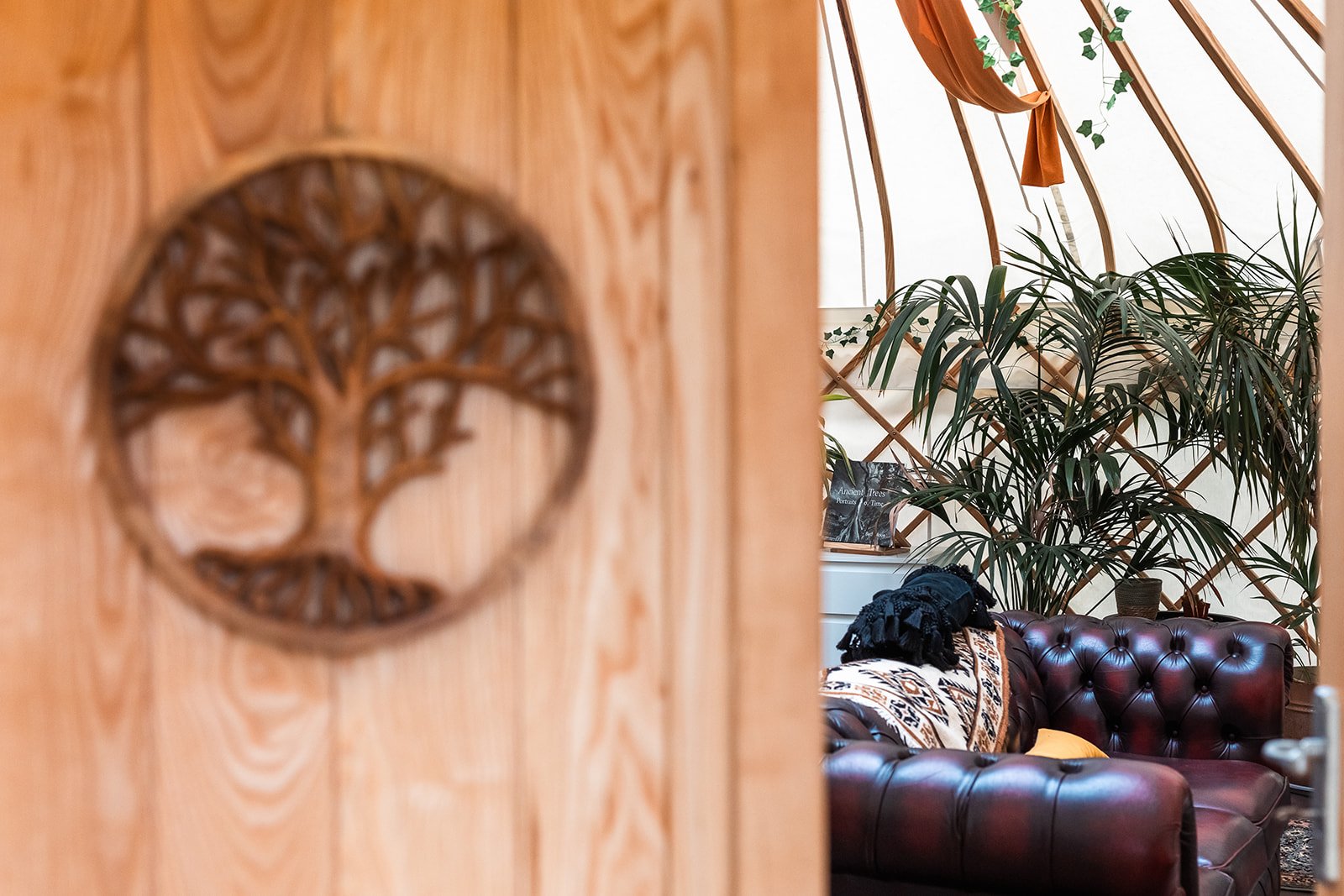 Looking through a partially open wooden door with a carved tree design, into a cozy living space with a brown leather Chesterfield sofa, large leafy plants, and decorative accents.