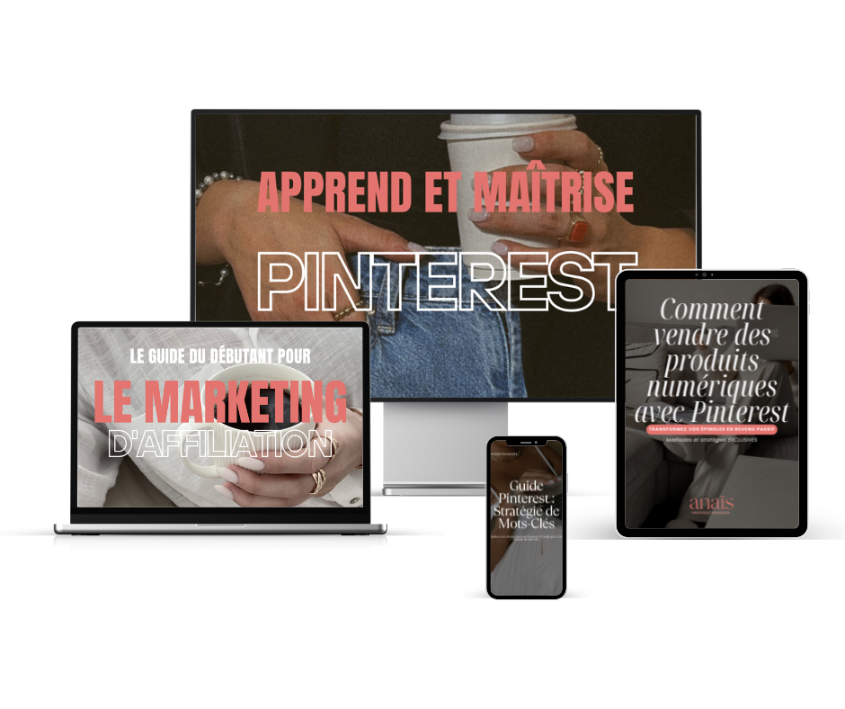 Copie de MockUp DFA (1).png