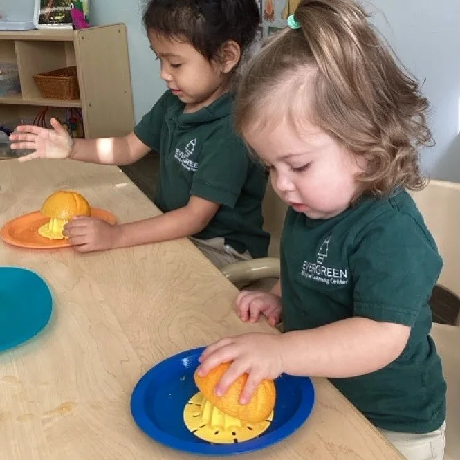 In the Montessori approach, Practical Life activities help children develop independence, coordination, concentration, and a sense of responsibility. These are real-life tasks that children see at home and love to do on their own.

At Evergreen, we i