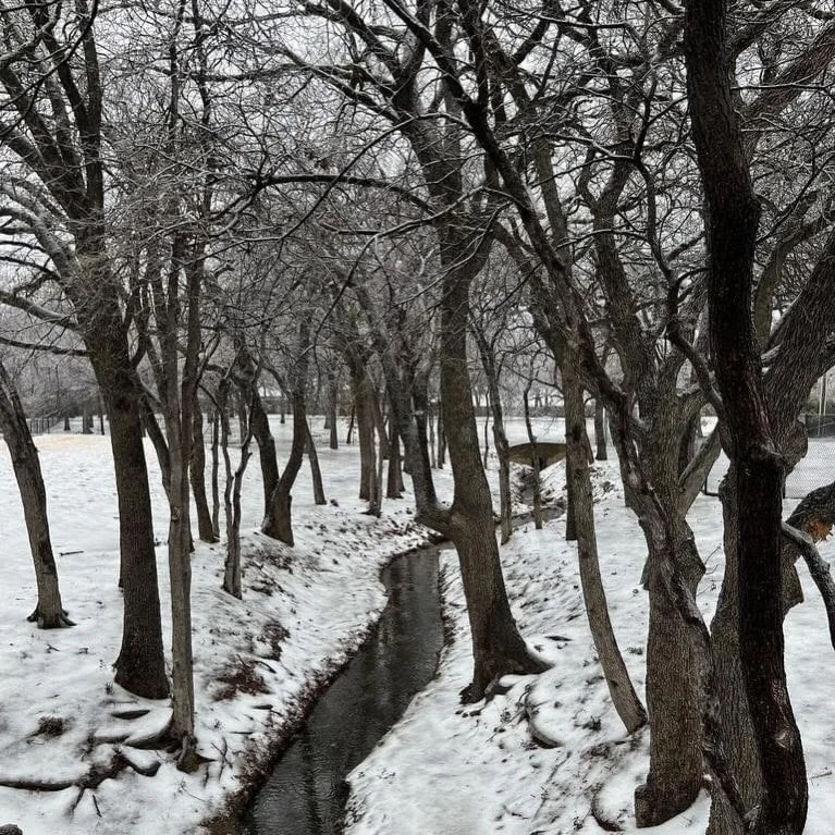 ❄️ Weather Update | School Closure ❄️

We hope you and your family are staying safe and warm.

Due to current weather conditions, Arlington ISD (AISD) has announced that all schools will be closed on Monday. In alignment with AISD and prioritizing th