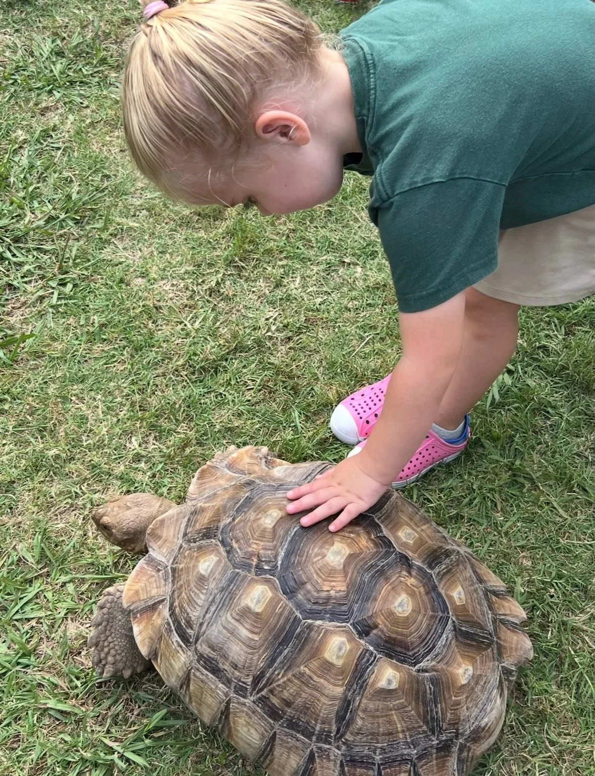 🌸 Spring Festival Sponsor Spotlight 🌸

We are excited to highlight another amazing sponsor helping make our Spring Festival possible! Supporting local businesses means supporting families and building a stronger community. 💛

🐐 Meet Noah&rsquo;s 
