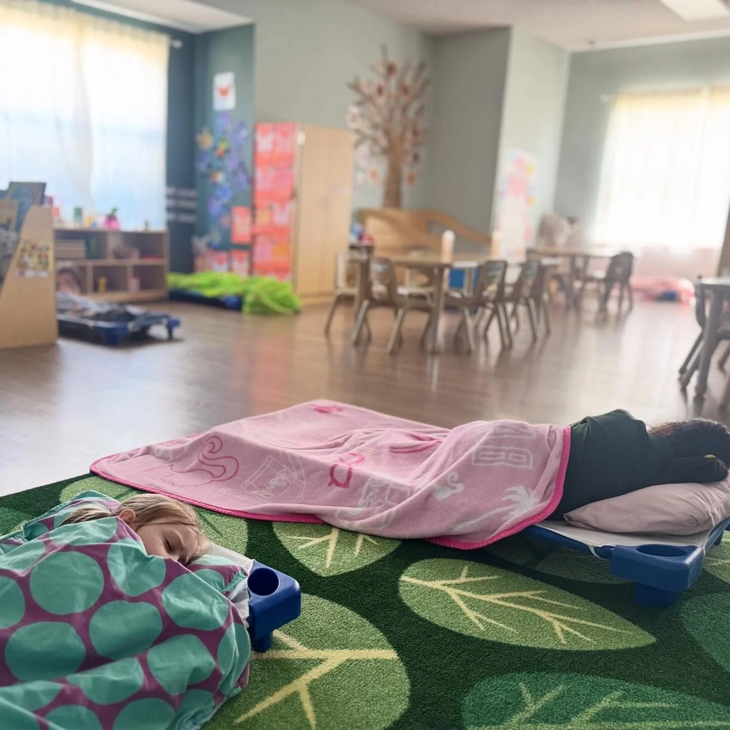 🌙✨ Nap Time with Purpose at Evergreen ✨🌙

Rest is not a pause in learning&hellip; it&rsquo;s part of it. 💛

According to Texas Health and Human Services, children in care for 5+ hours must have a daily rest time, with:
&bull; A safe cot or mat
&bu