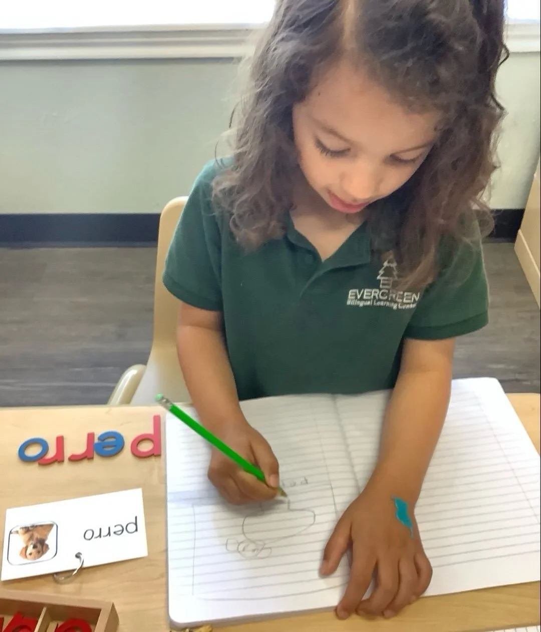 ✏️✨ Where Learning Becomes Personal ✨✏️

At Evergreen Bilingual Learning Center, our curriculum is not a script&mdash;it&rsquo;s a living, evolving tool designed to meet each child exactly where they are. 🌱

Our teachers carefully observe, listen, a